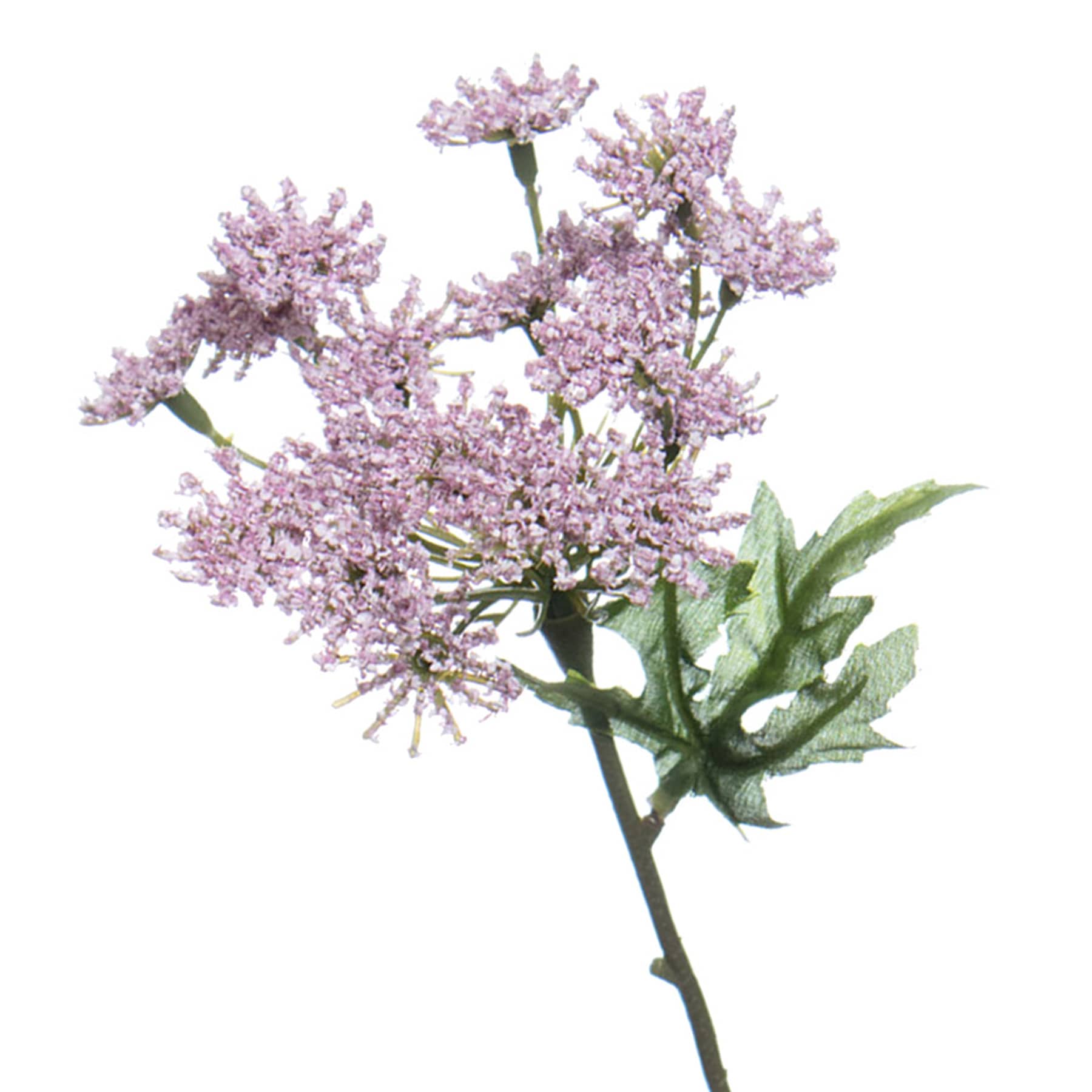 11.5IN QUEEN ANN LACE PICK