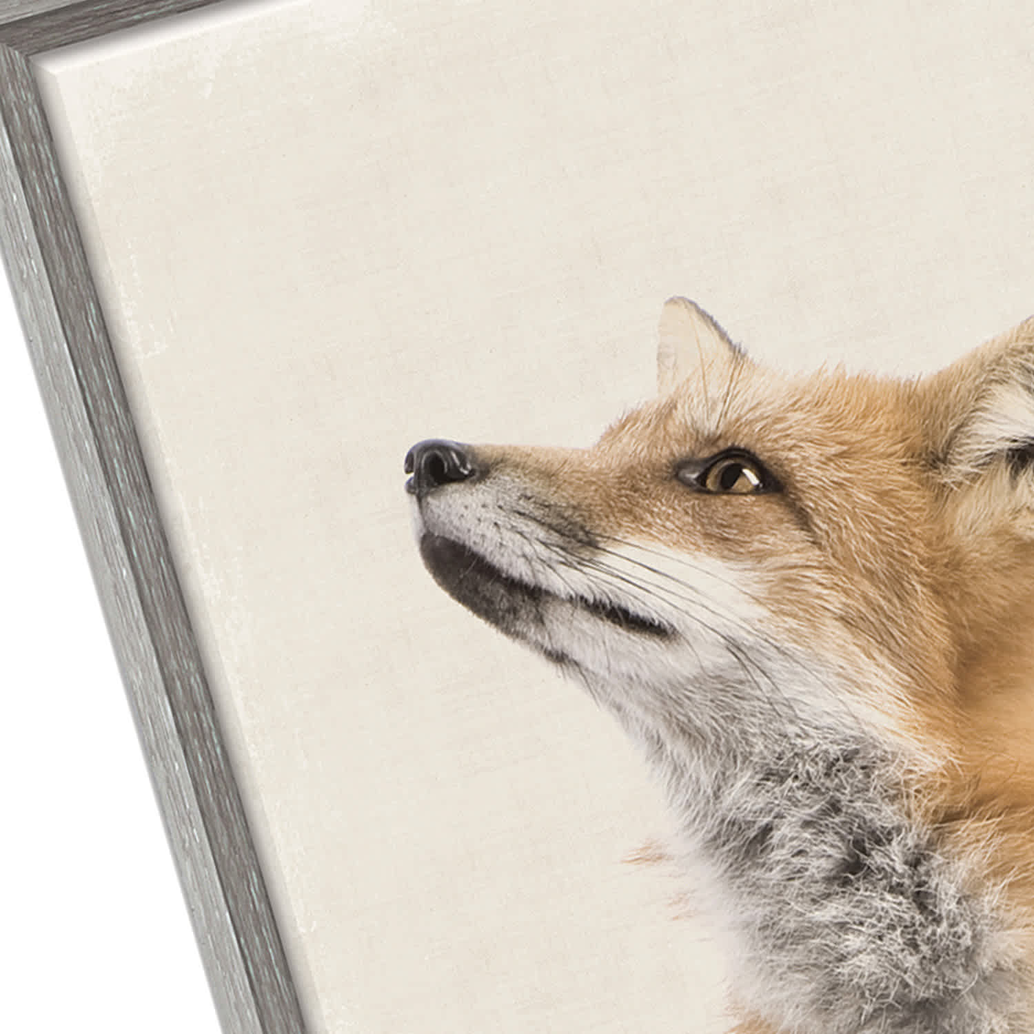 Wondering Fox Framed Canvas, 26x18