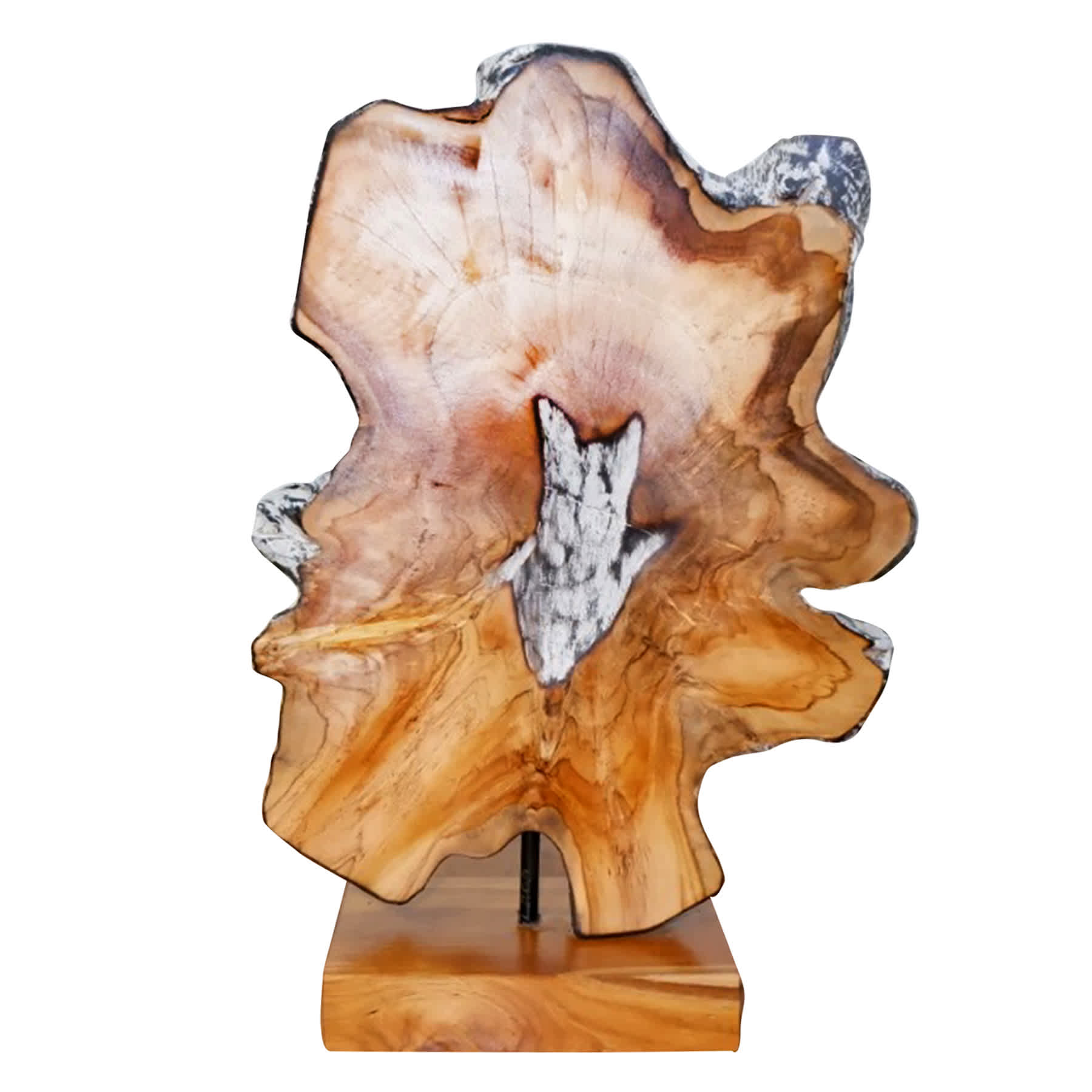 Teak Burn Starlin Sculpture, 20"
