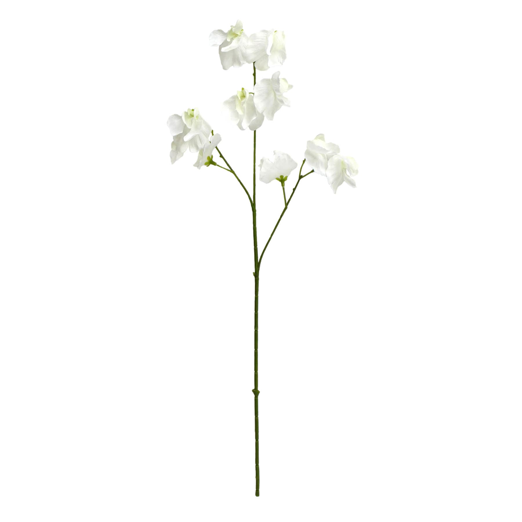 Willow Crossley White Real Feel Pea Flower Spray, 23.6"