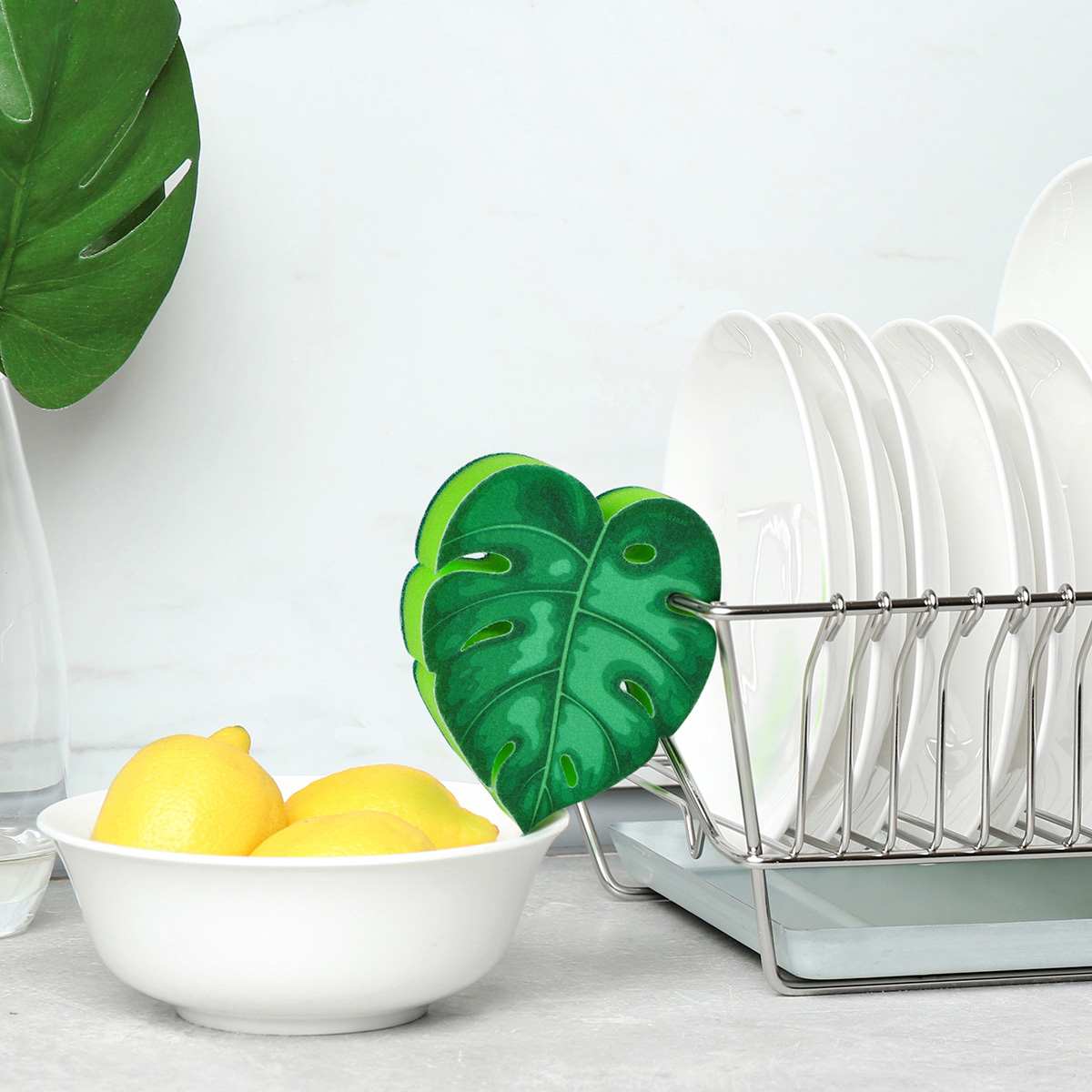 Fred Sponges - House Plant