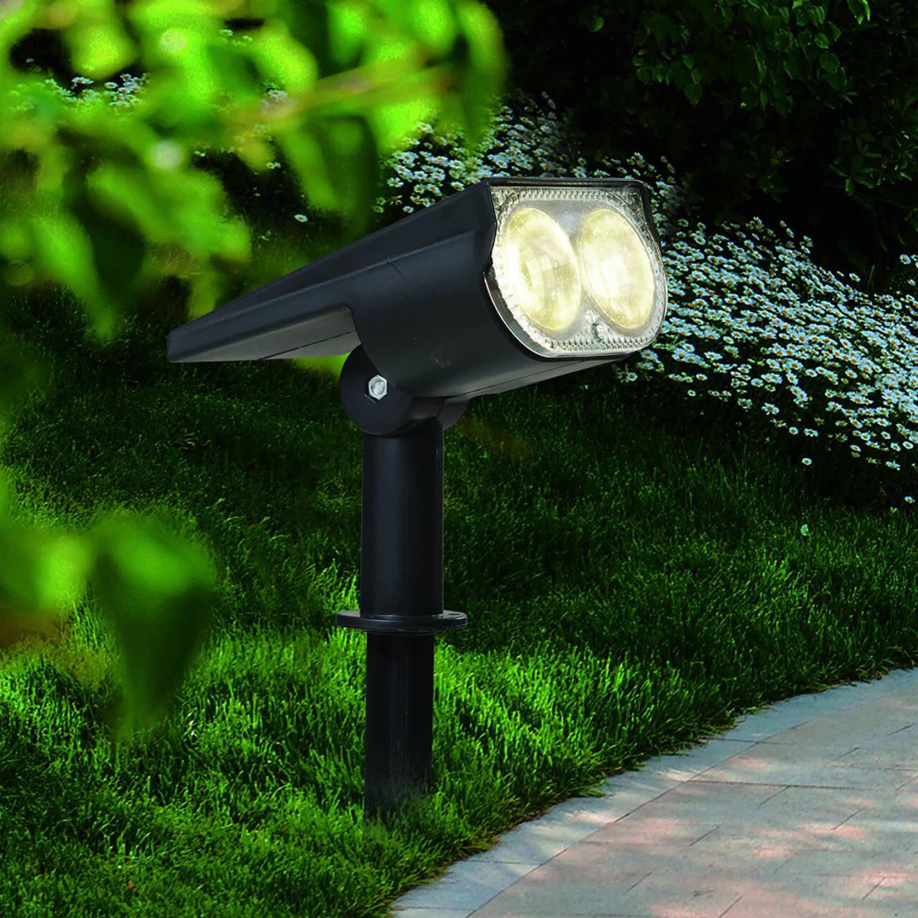 50-Lumen Solar Black Spotlight
