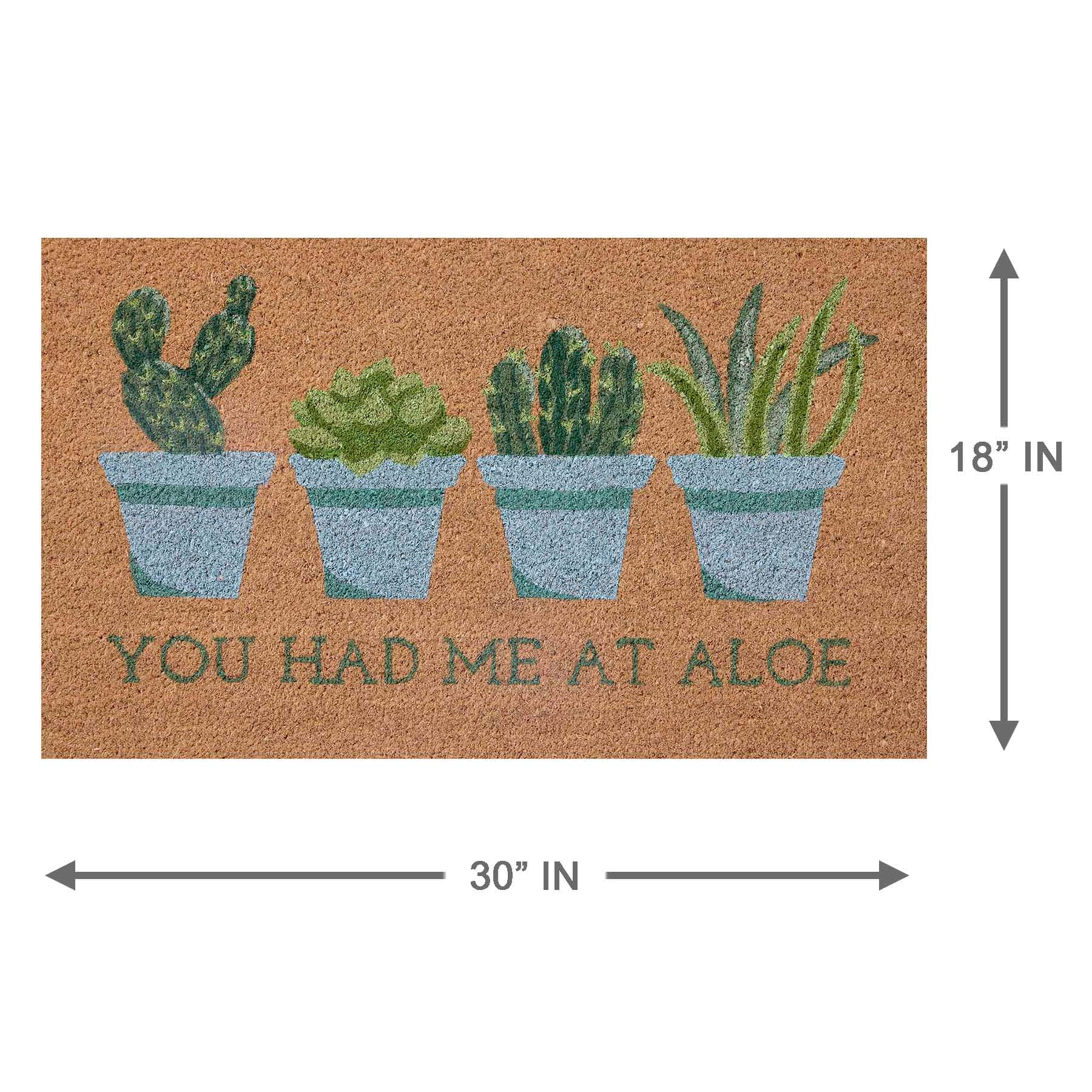 You Had Me Aloe Coir Mat, 18x30