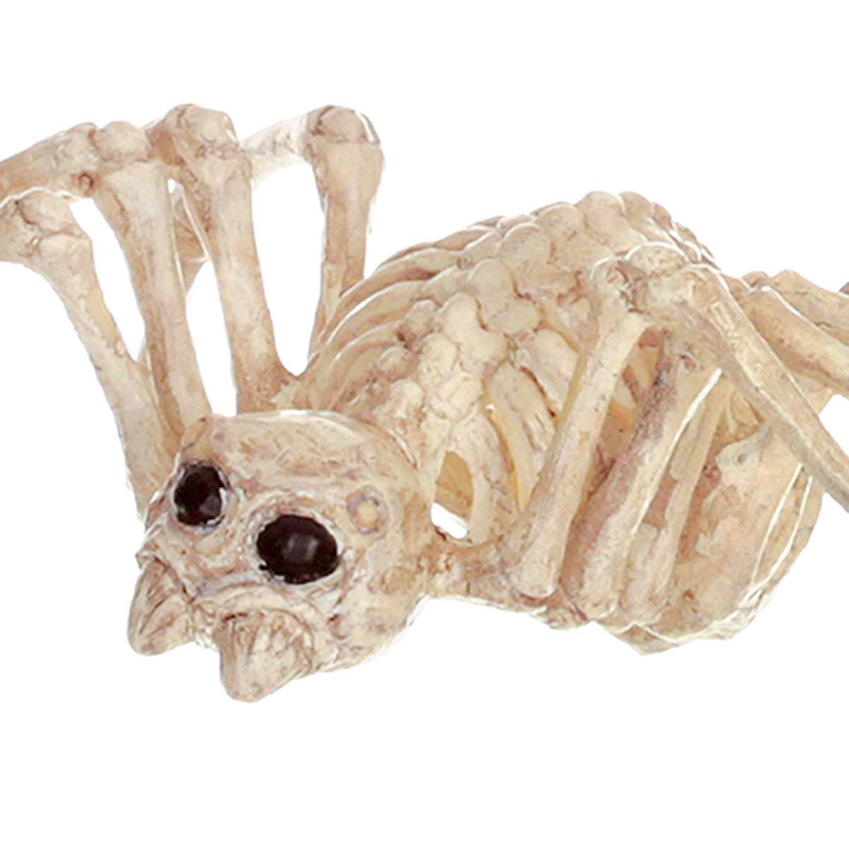 Halloween Mini Spider Skeleton