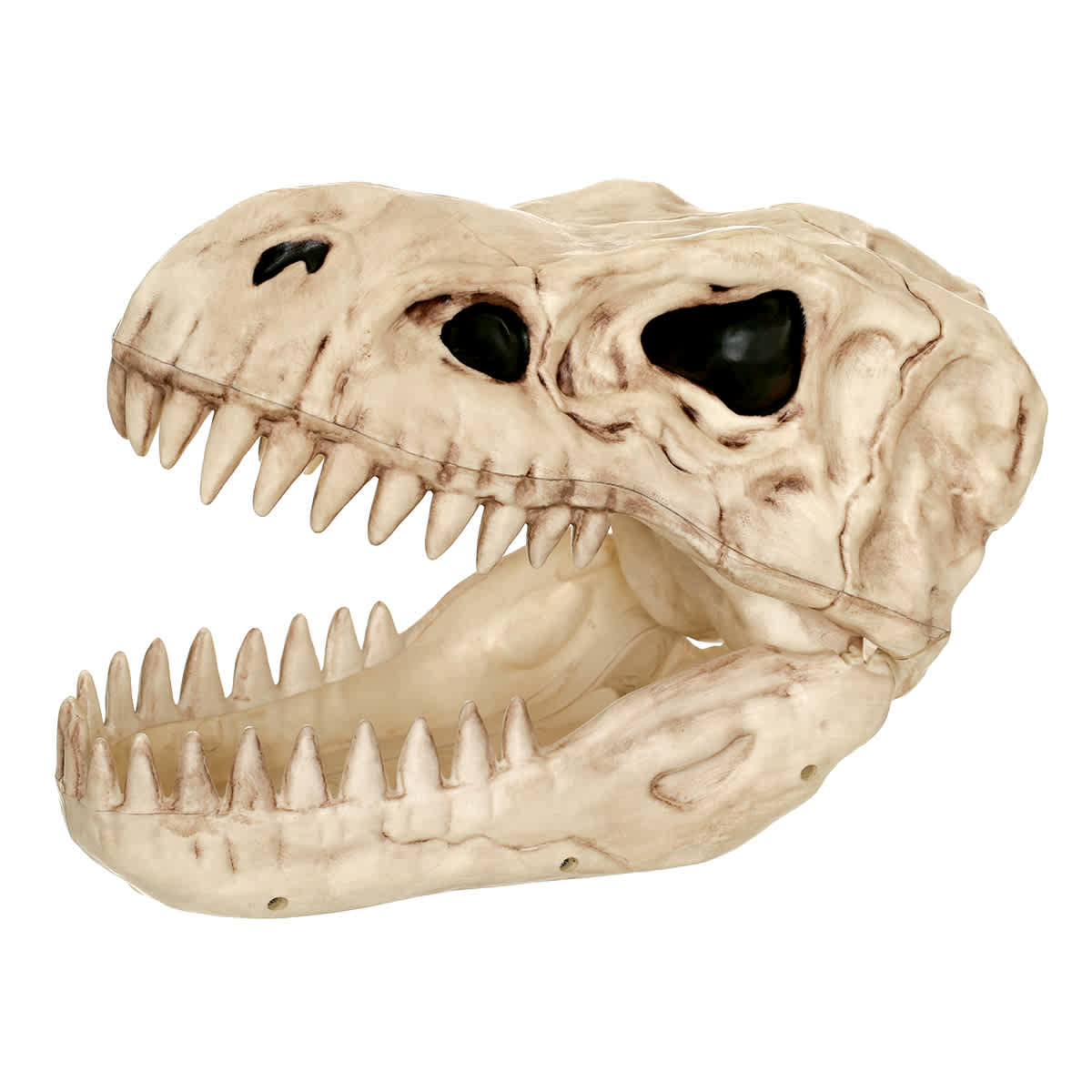 Halloween T-Rex Skull, 11.5"