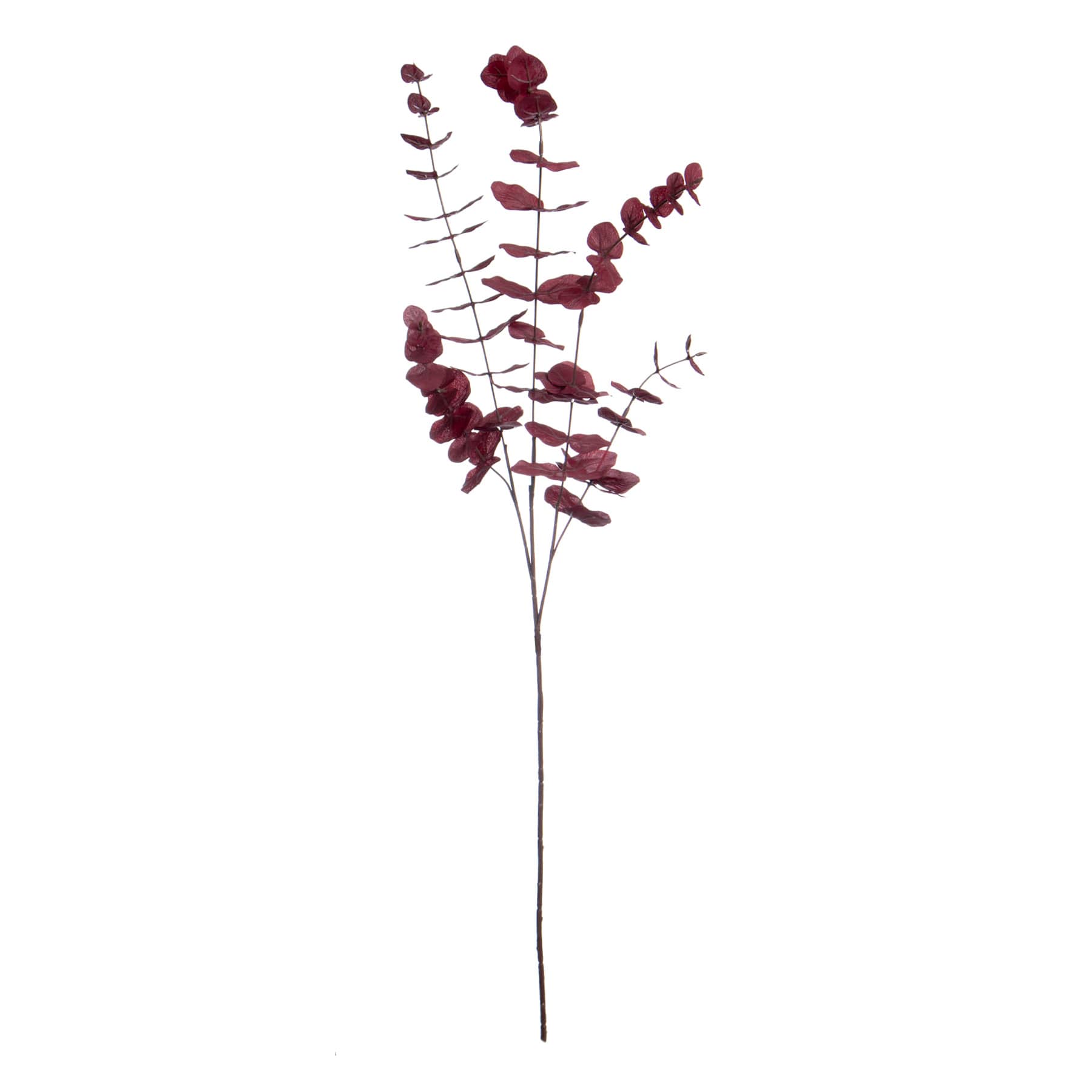 Honeybloom Red Eucalyptus Spray, 40"