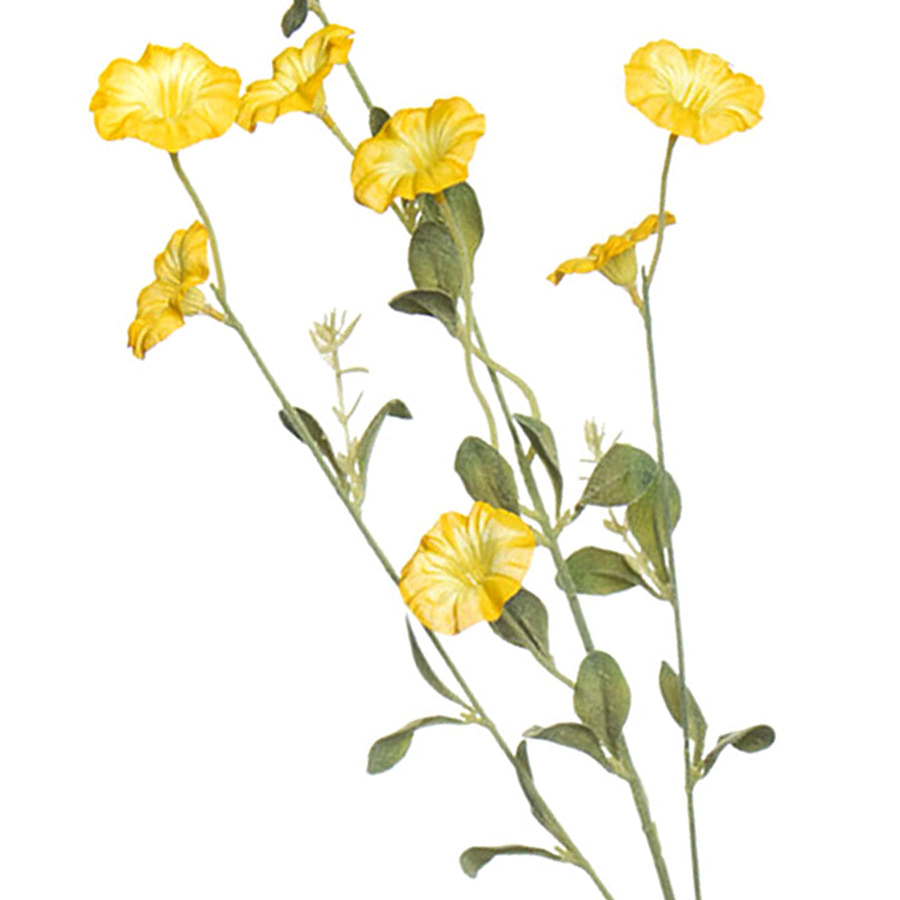 Yellow Morning Glory Spray, 34"