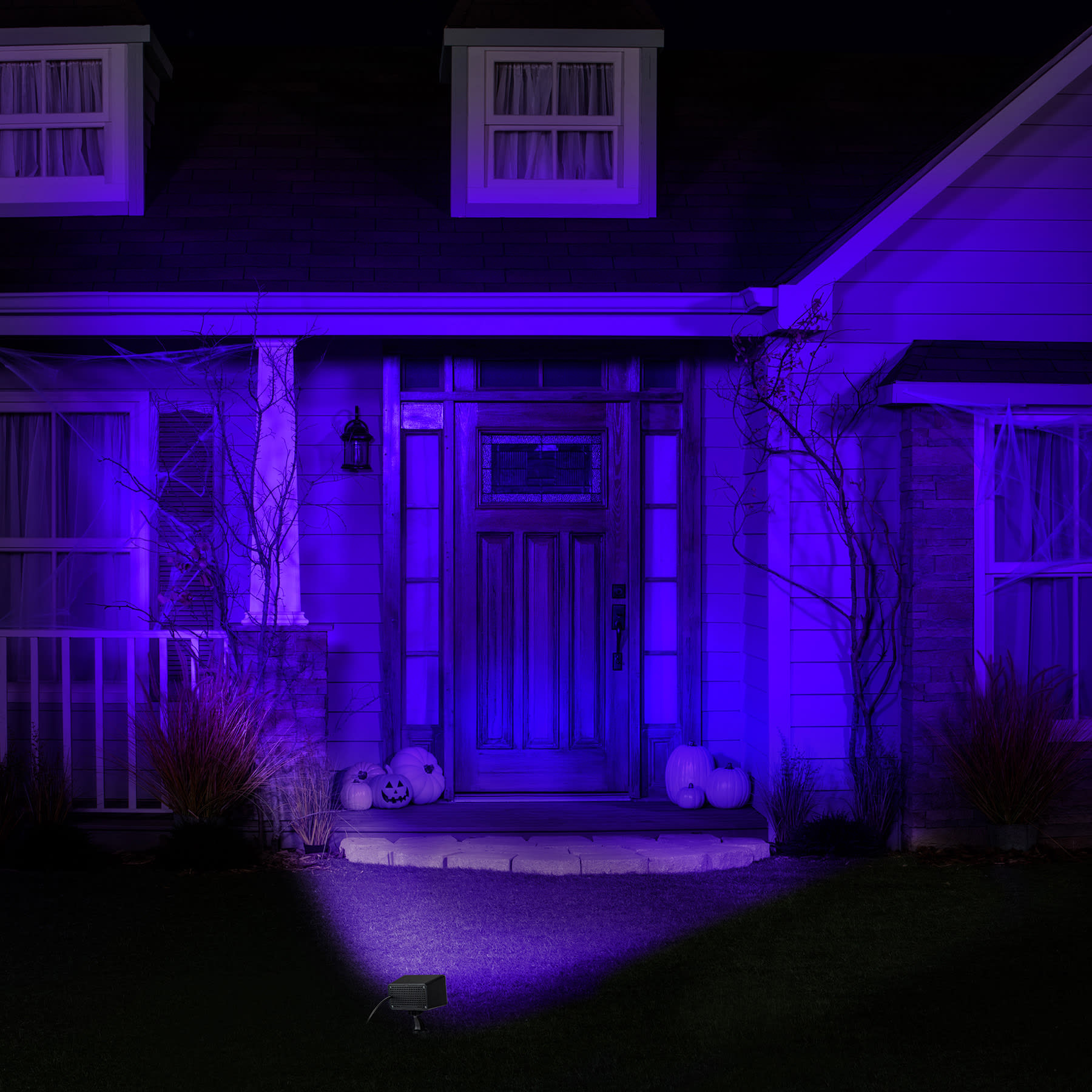Super Plus LED Flood Light Black Light