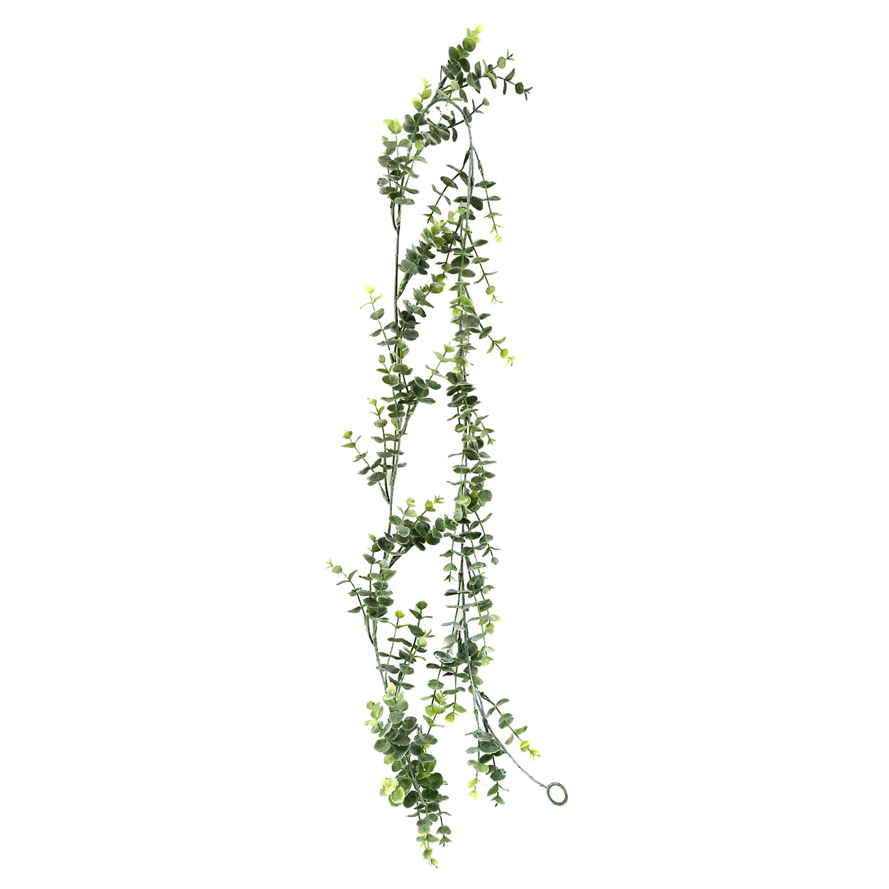 Eucalyptus Coiled Garland, 72"