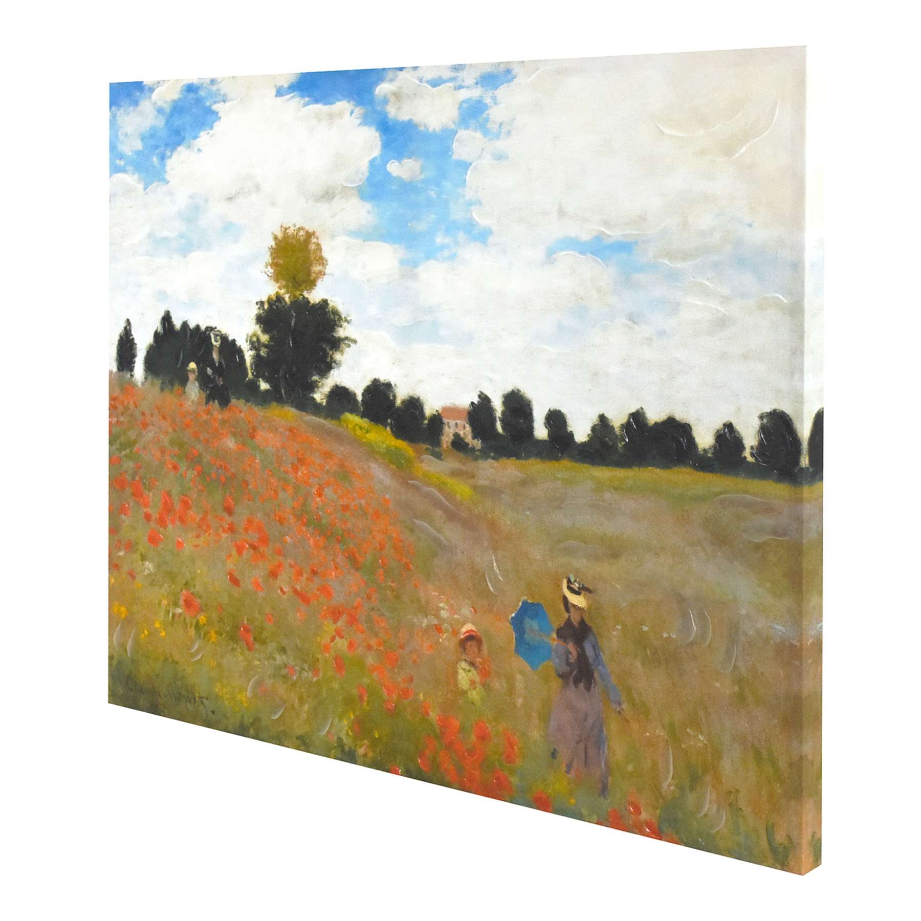 Field of Poppies Canvas Wall Art, 36x27
