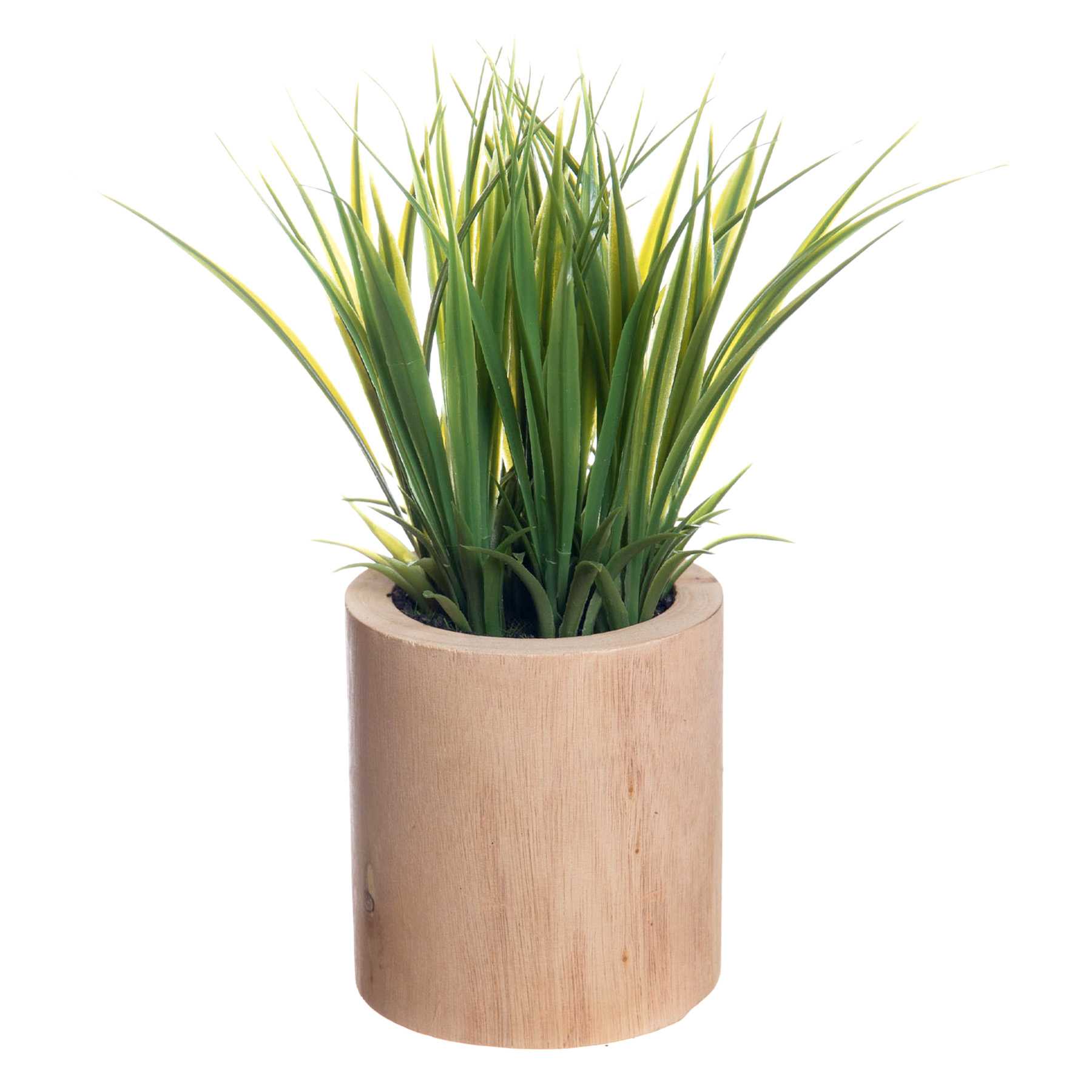 Natural Grass Spray in Wooden Pot, 9"