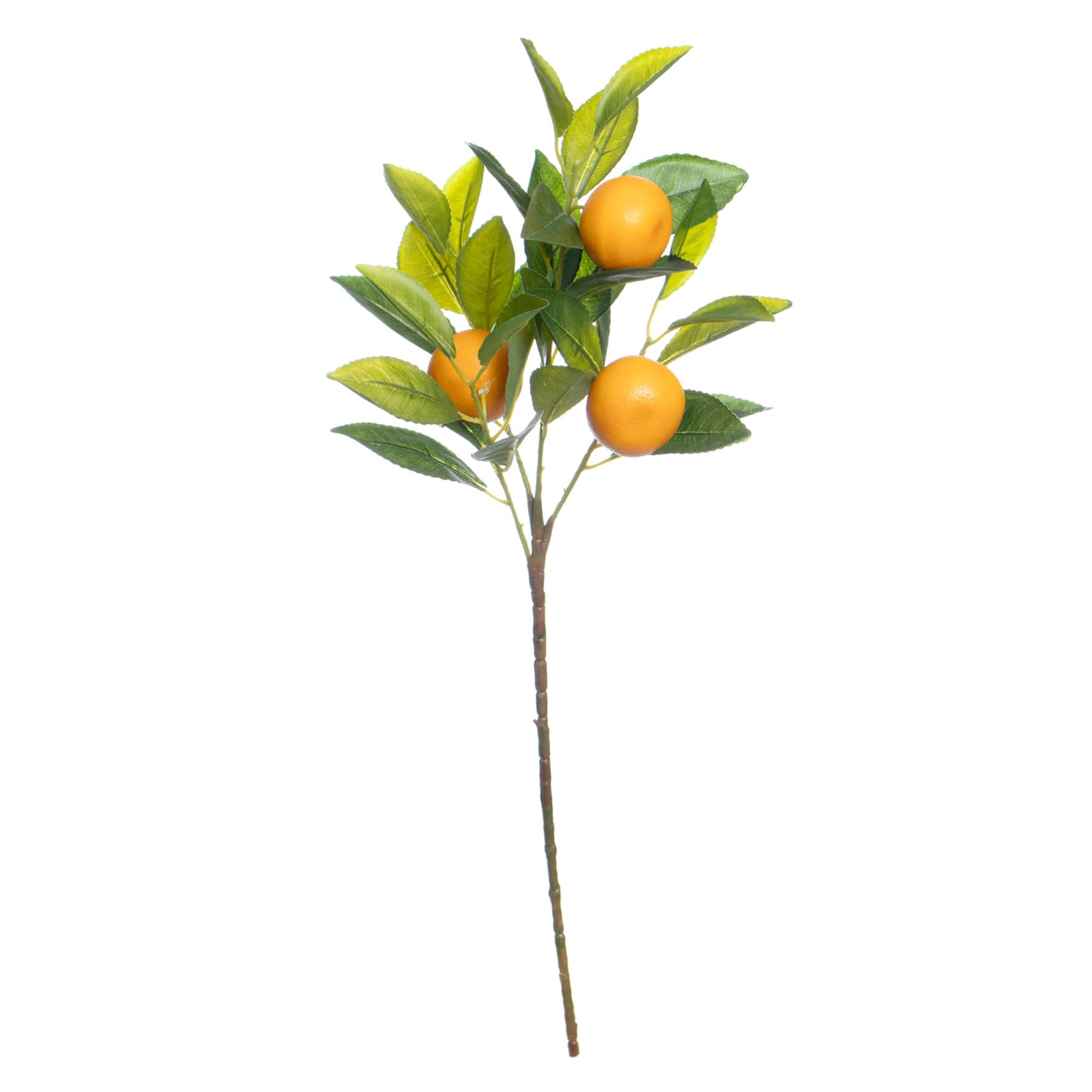 Tangerine Spray, 21"