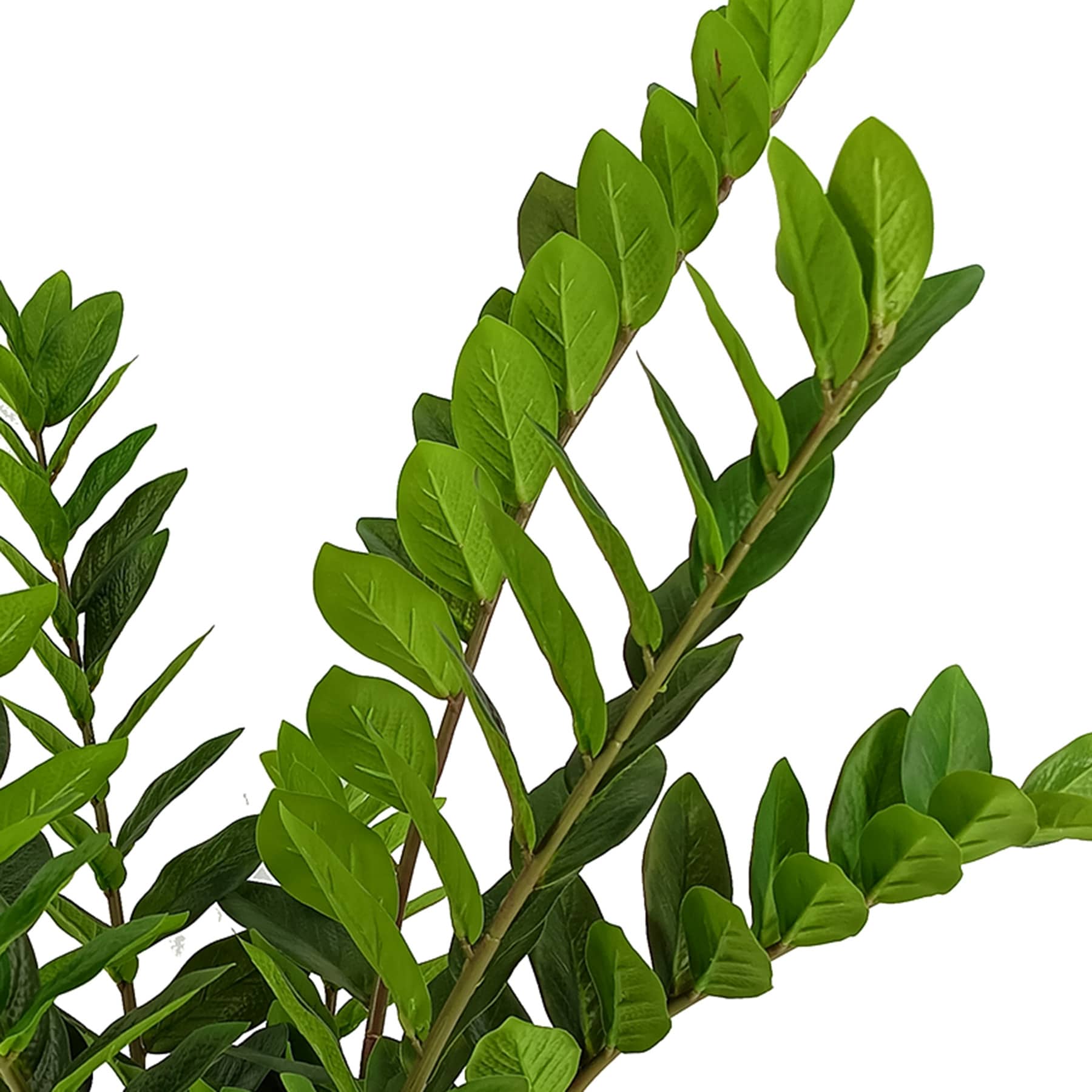 Greenery with Cermic Pot, 34"