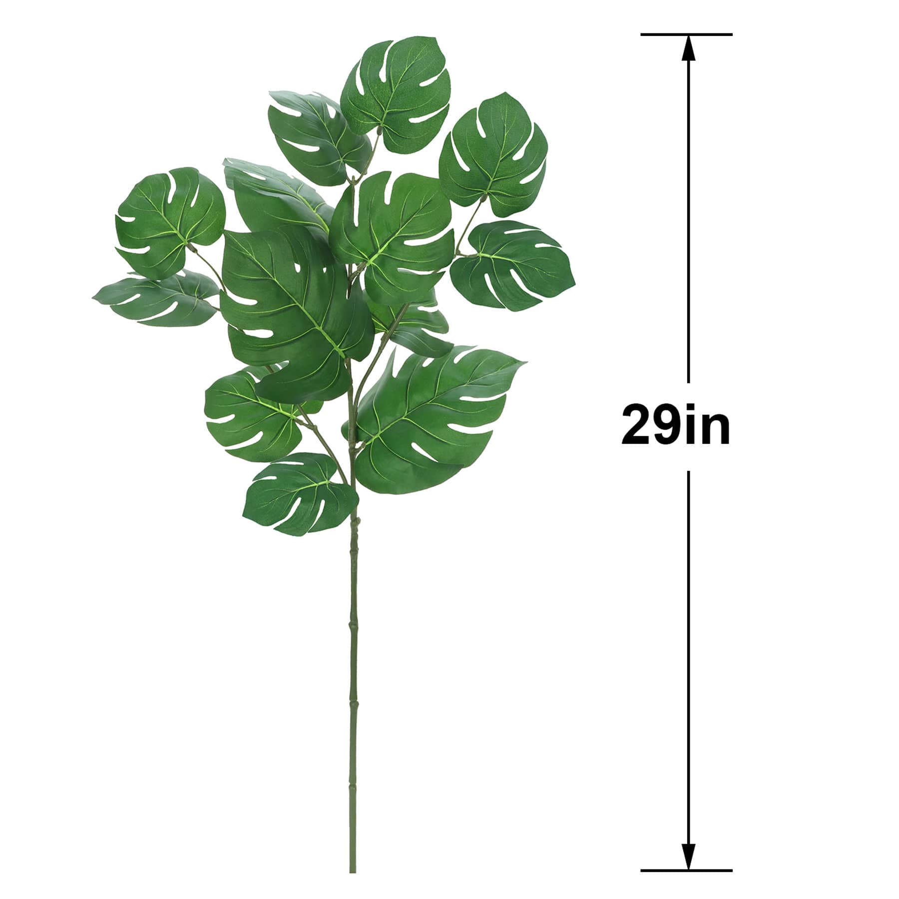 Philo Leaf Stem, 29"