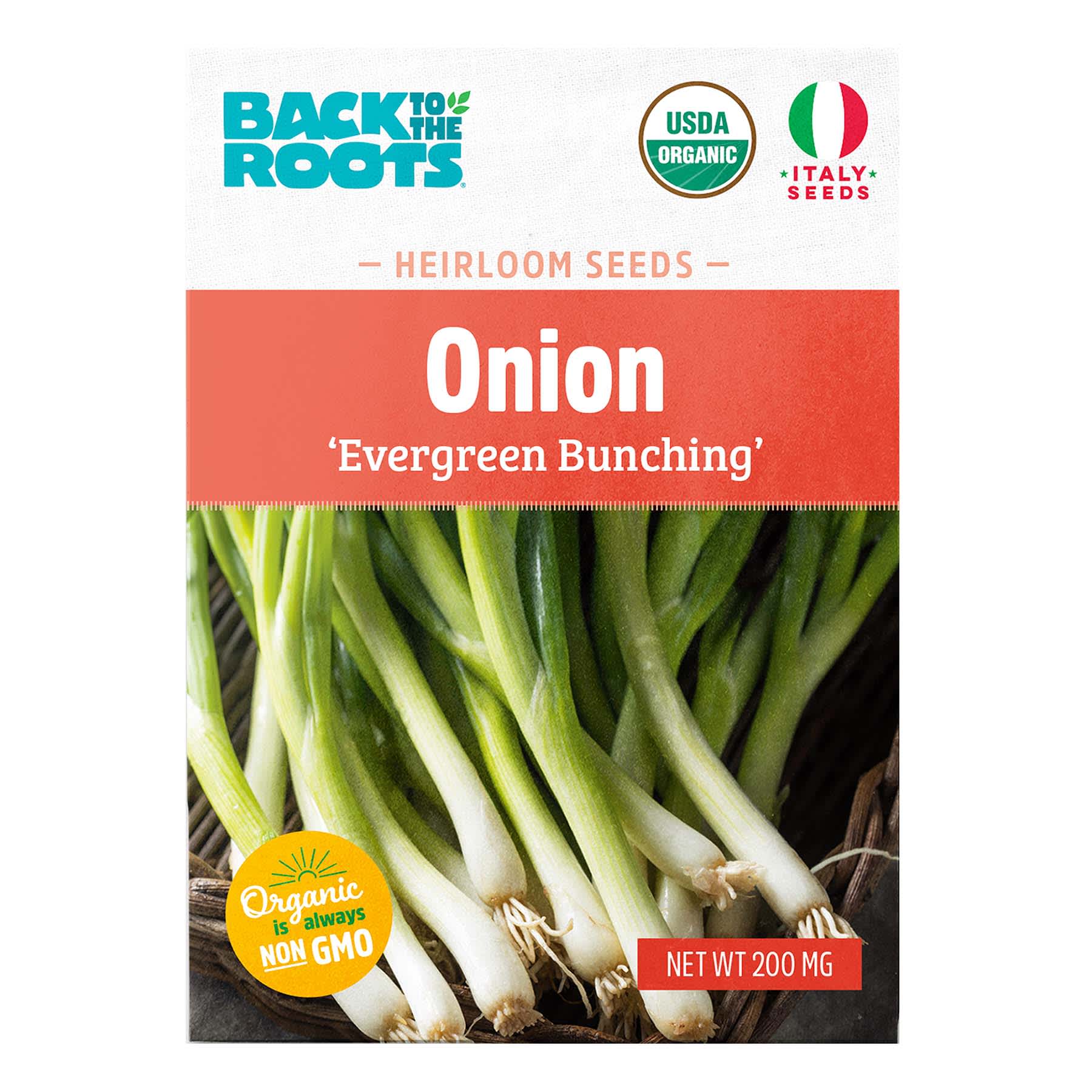 Back to Roots Heirlooms Seeds, Onion Evergreen Bunching