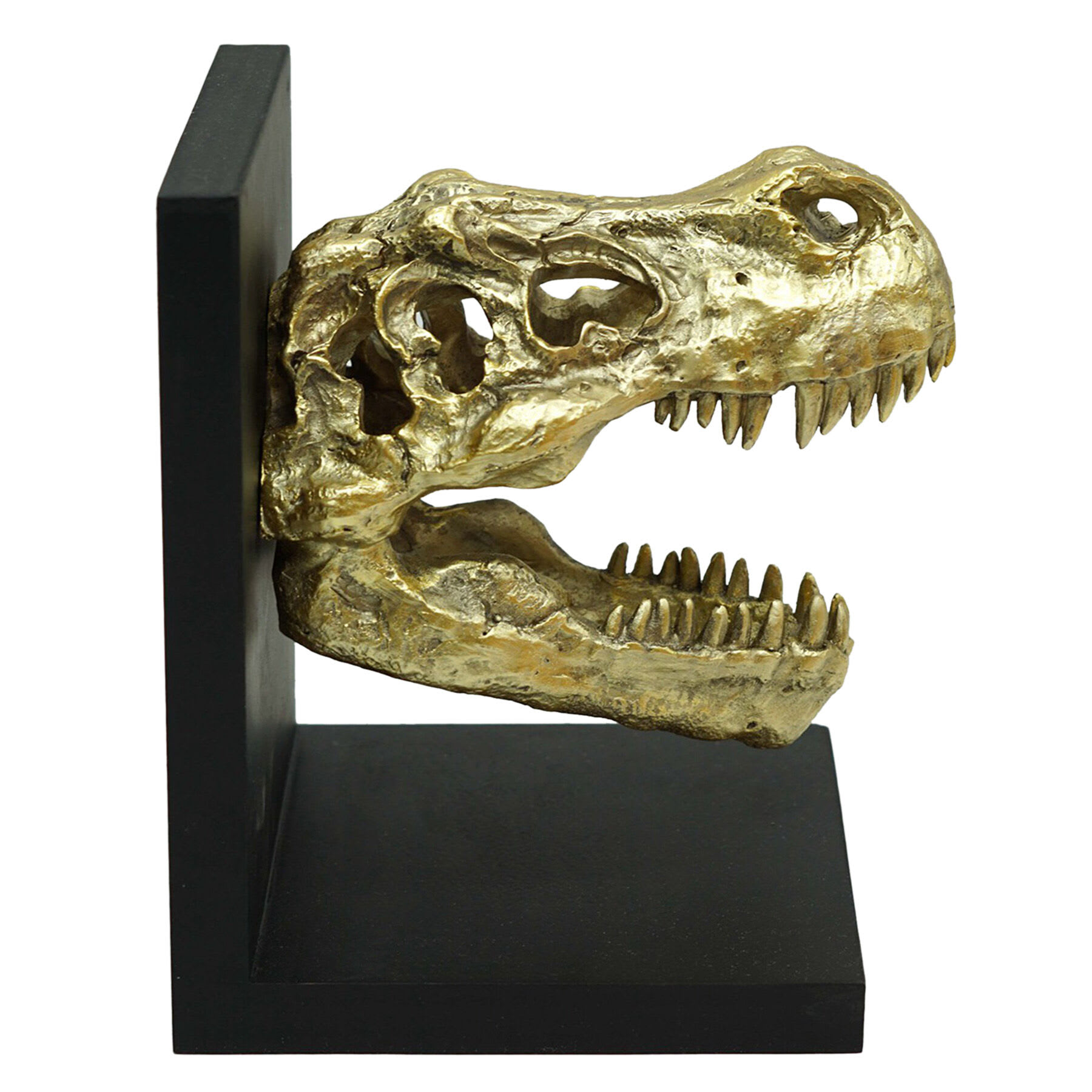1-Piece Gold & Black T-Rex Fossil Head Bookend, 7"