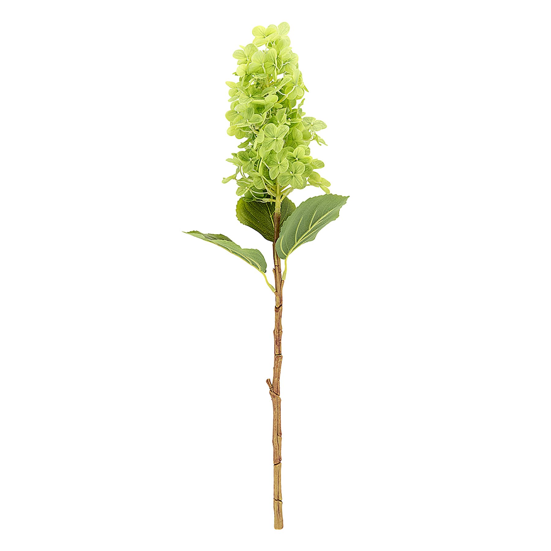 Green Fabric Real-Feel Cone Hydrangea Stem, 24"