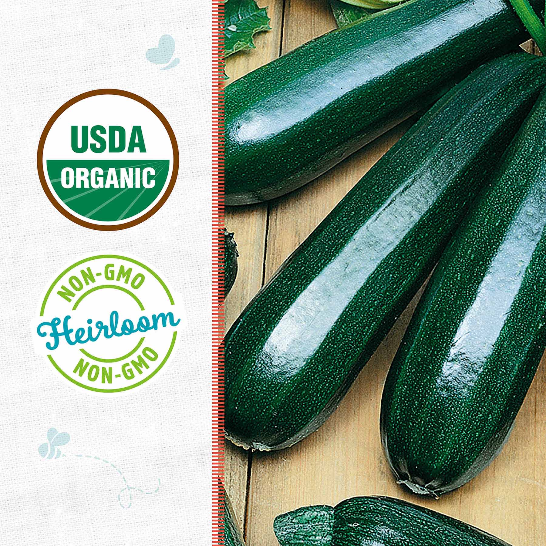 Back to Roots Heirloom Seeds, Black Zucchini