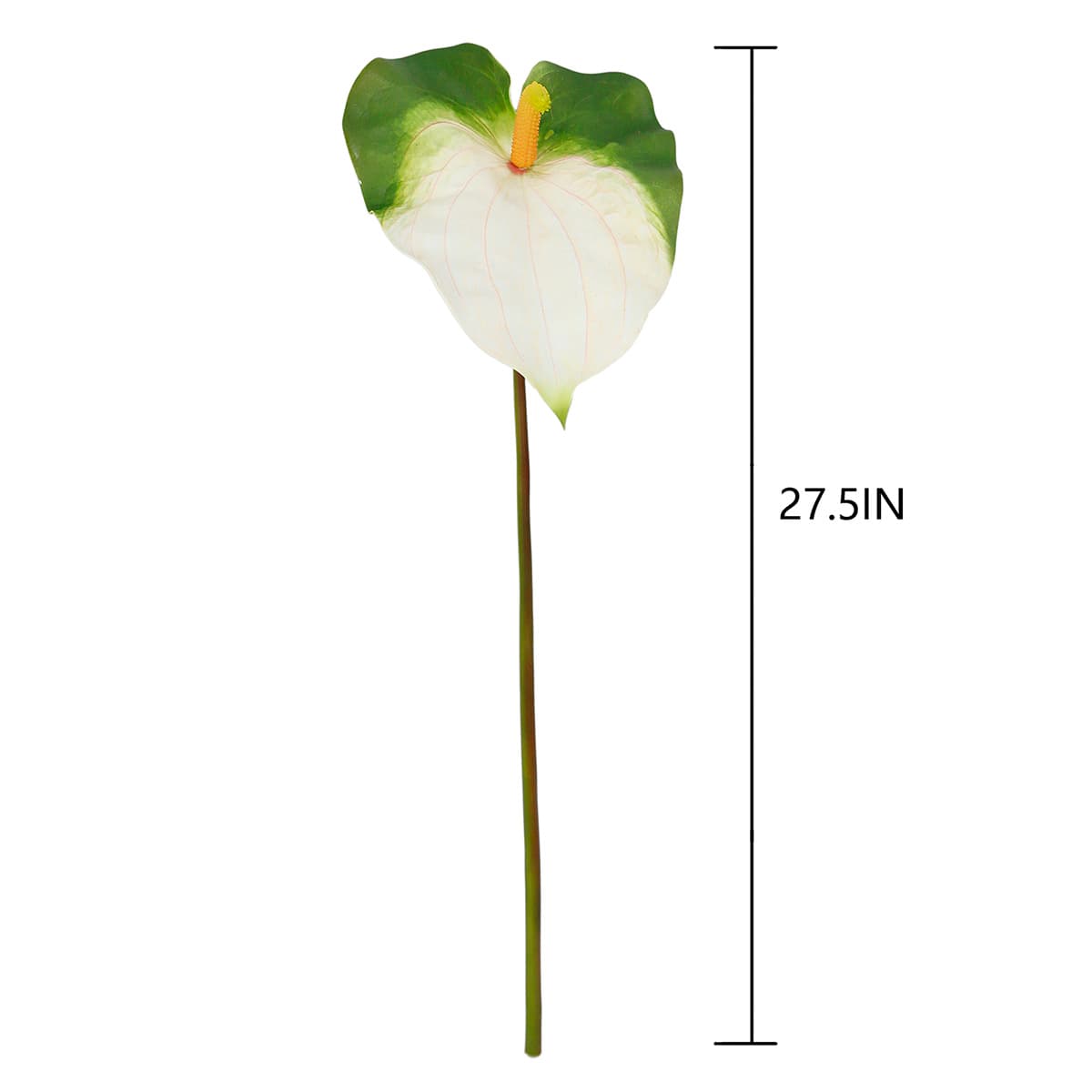 Green & White Anthurium Stem, 27.5"