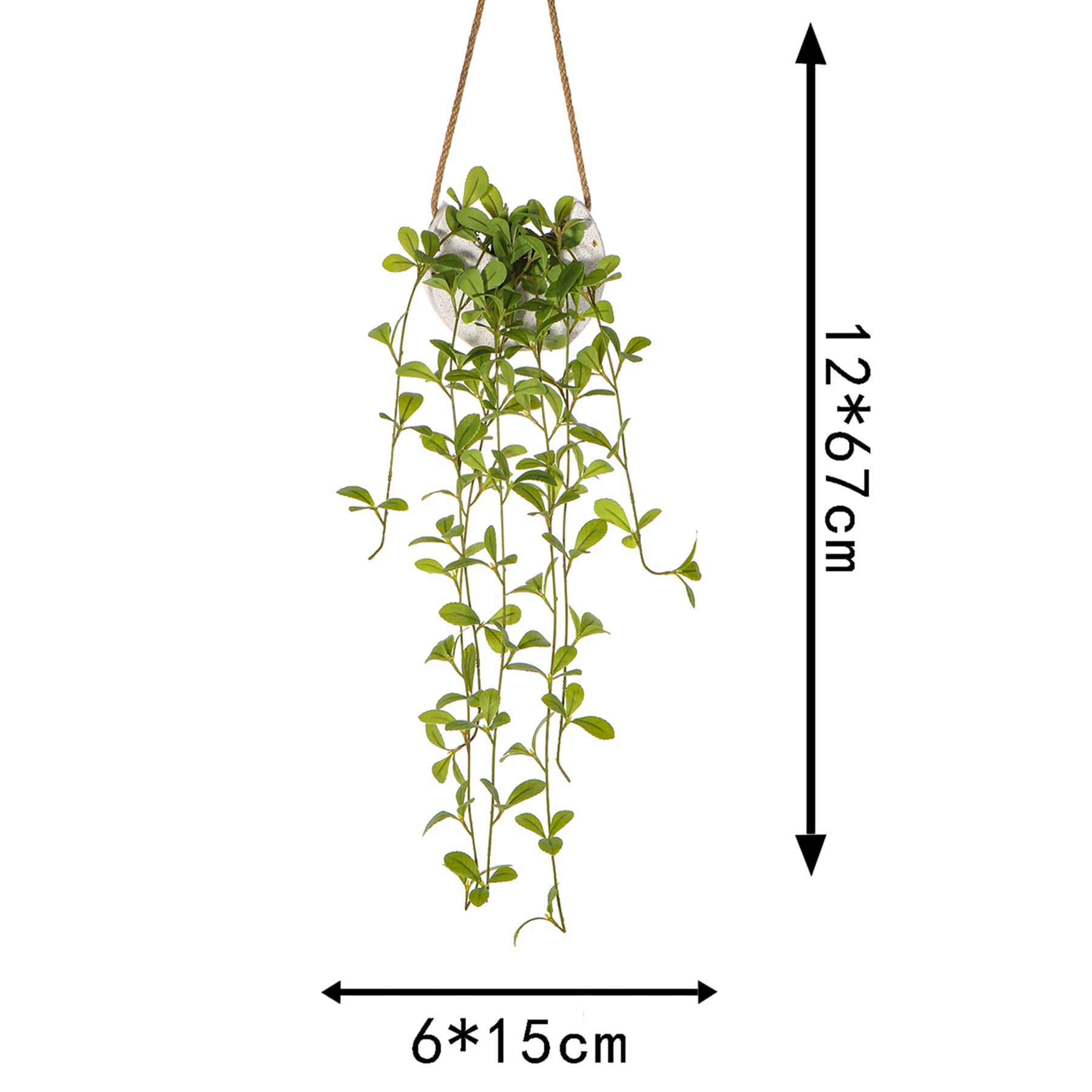Hanging Plants In Moon Ceramic Pot