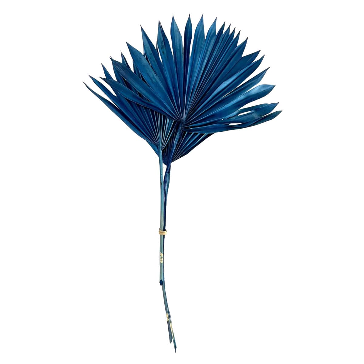 Blue Sun Spear