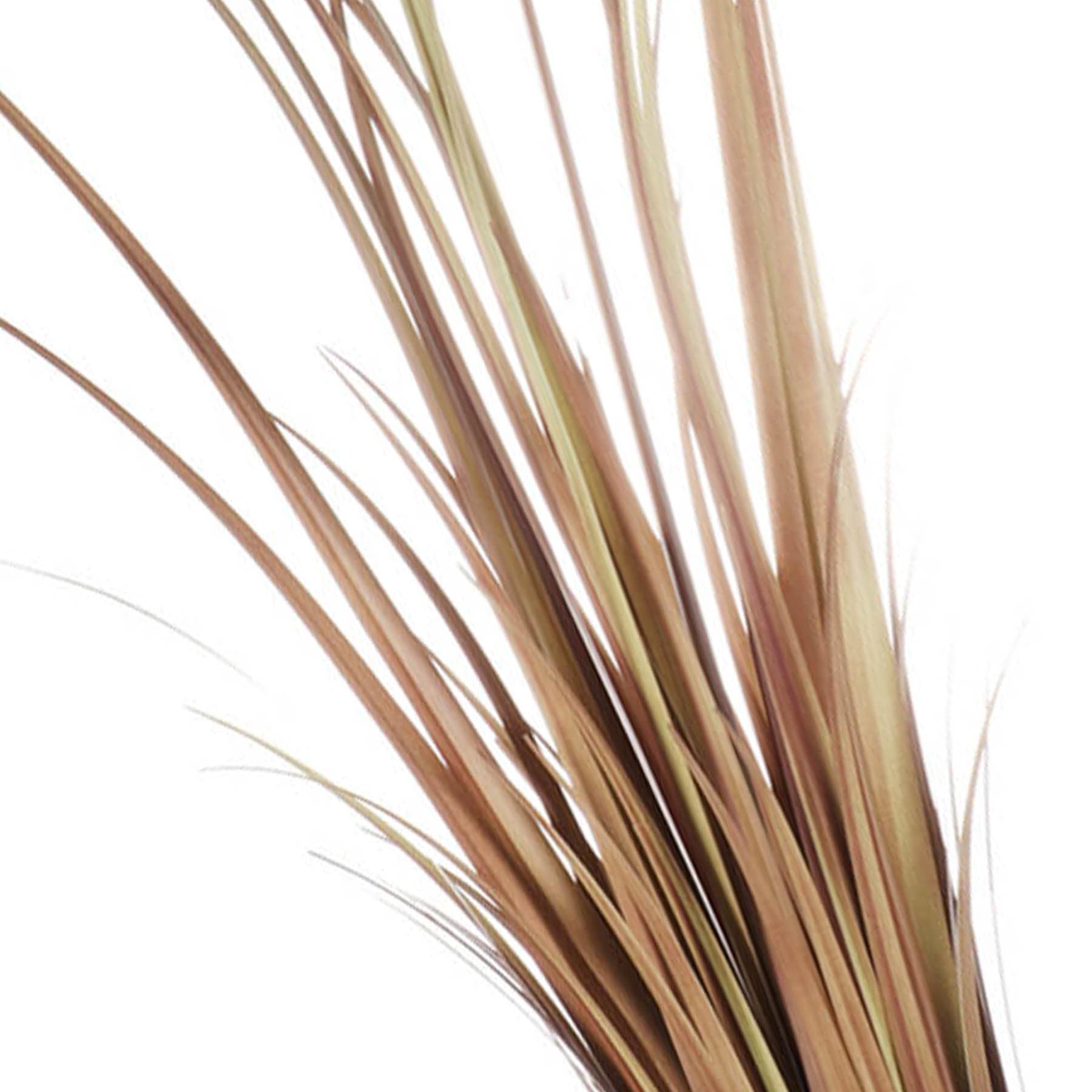 Dark Dried Grass Bundle, 3'