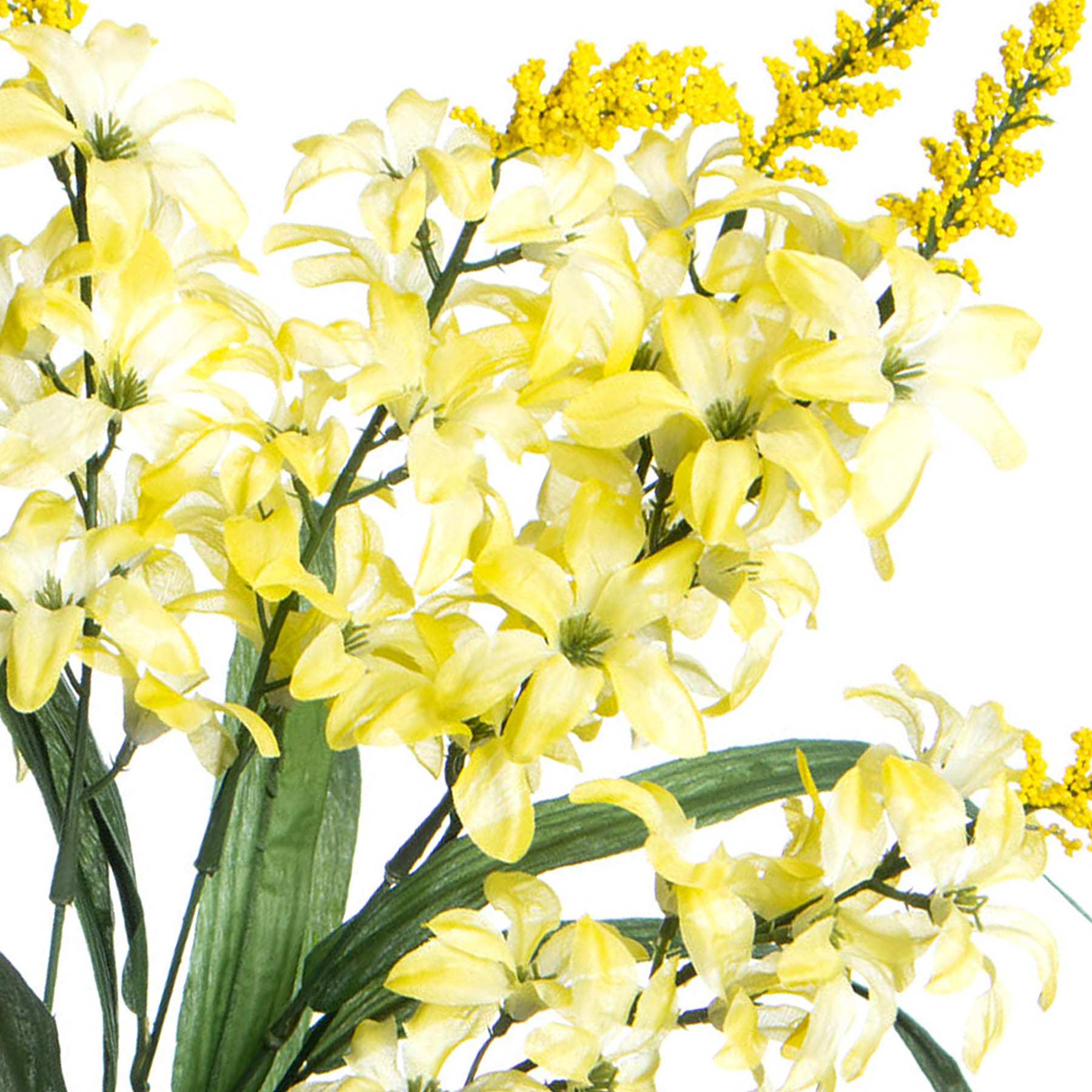 Yellow Hyacinth Bush, 20"
