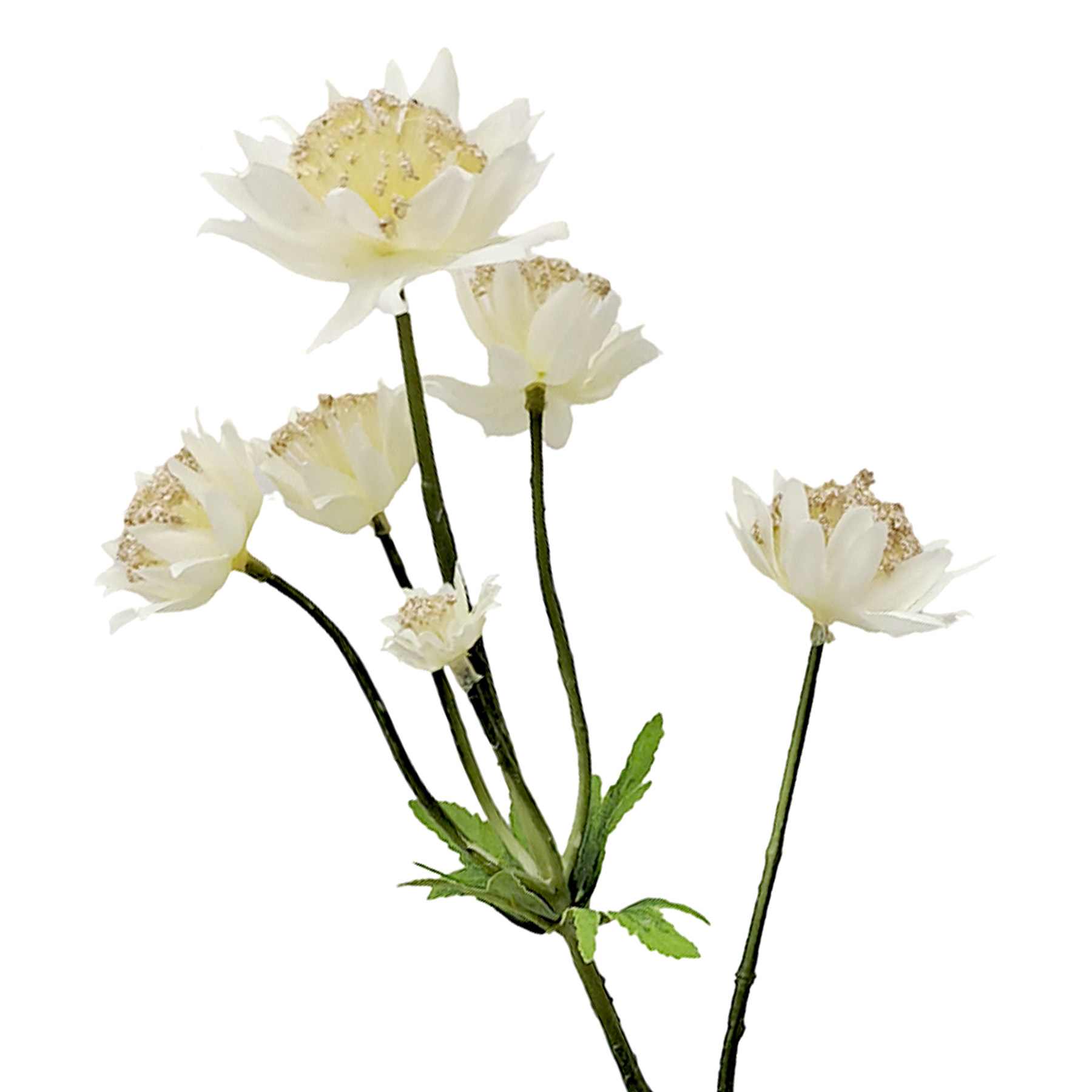 White Astrantia Stem, 22"