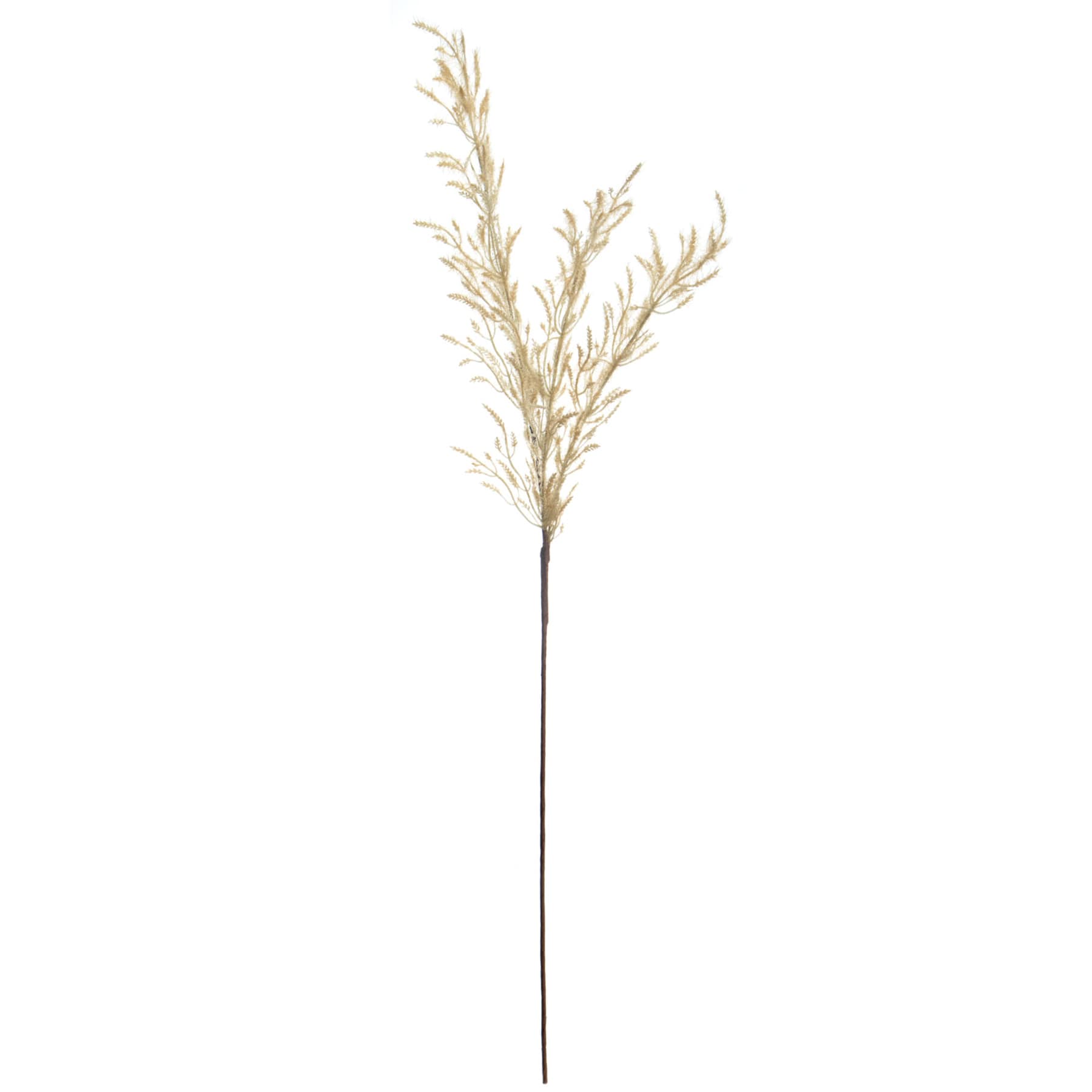 Crosby St. Tan Pampas Grass Spray, 42"