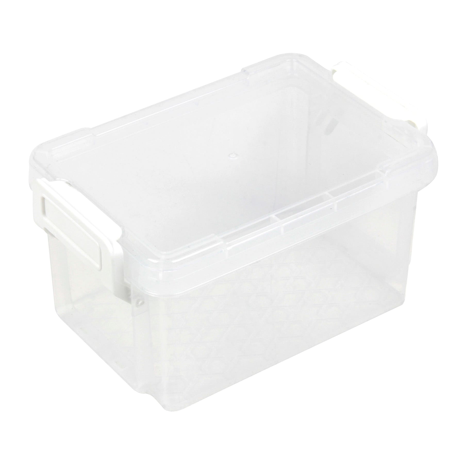 Clear Storage Box with Lid, 2.7l