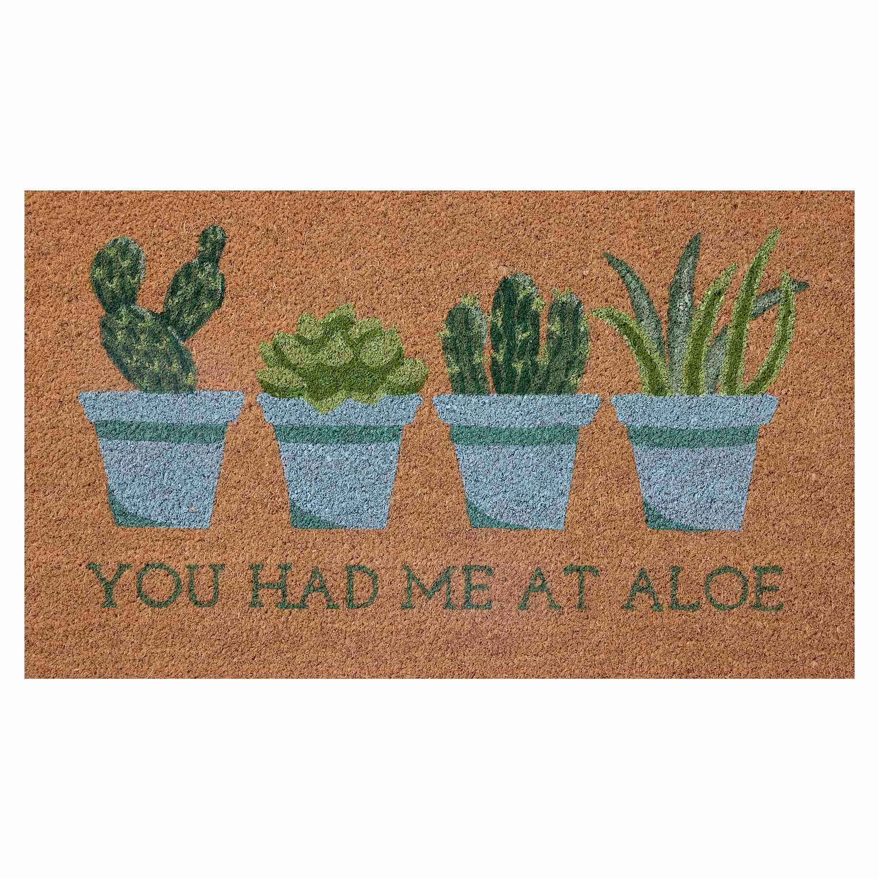 You Had Me Aloe Coir Mat, 18x30