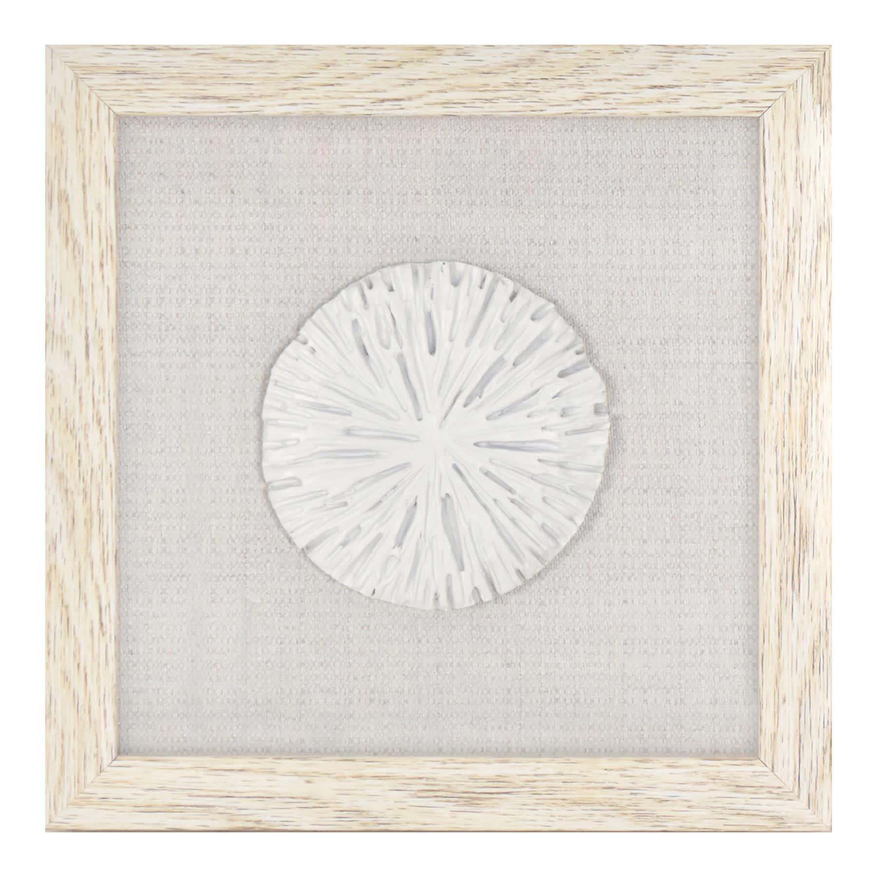 Ty Pennington Glass Framed Coral Wall Art, 9"