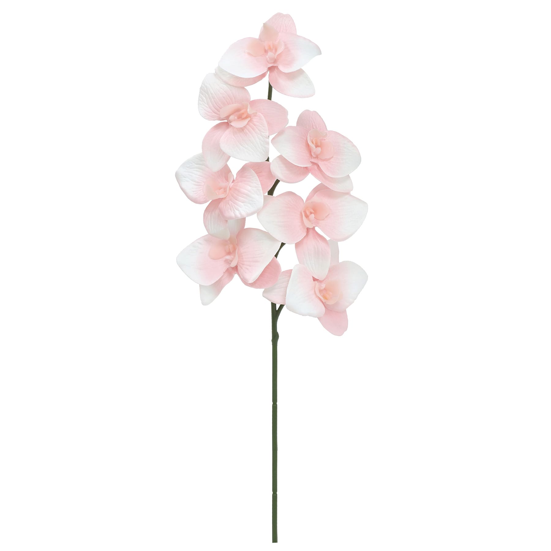 Light Pink Orchid Stem, 25"