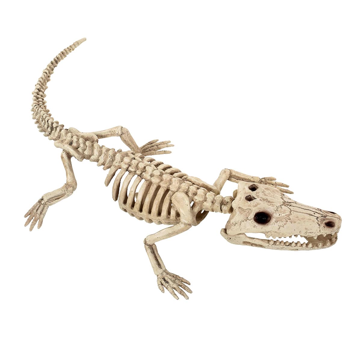 Halloween Alligator Skeleton, 9.5"