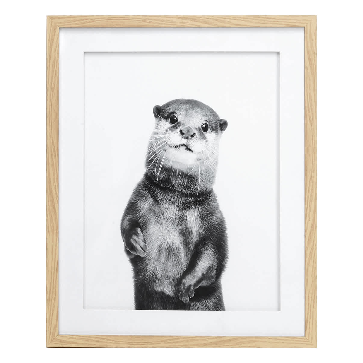 Glass Framed Otter Wall Art, 17x21
