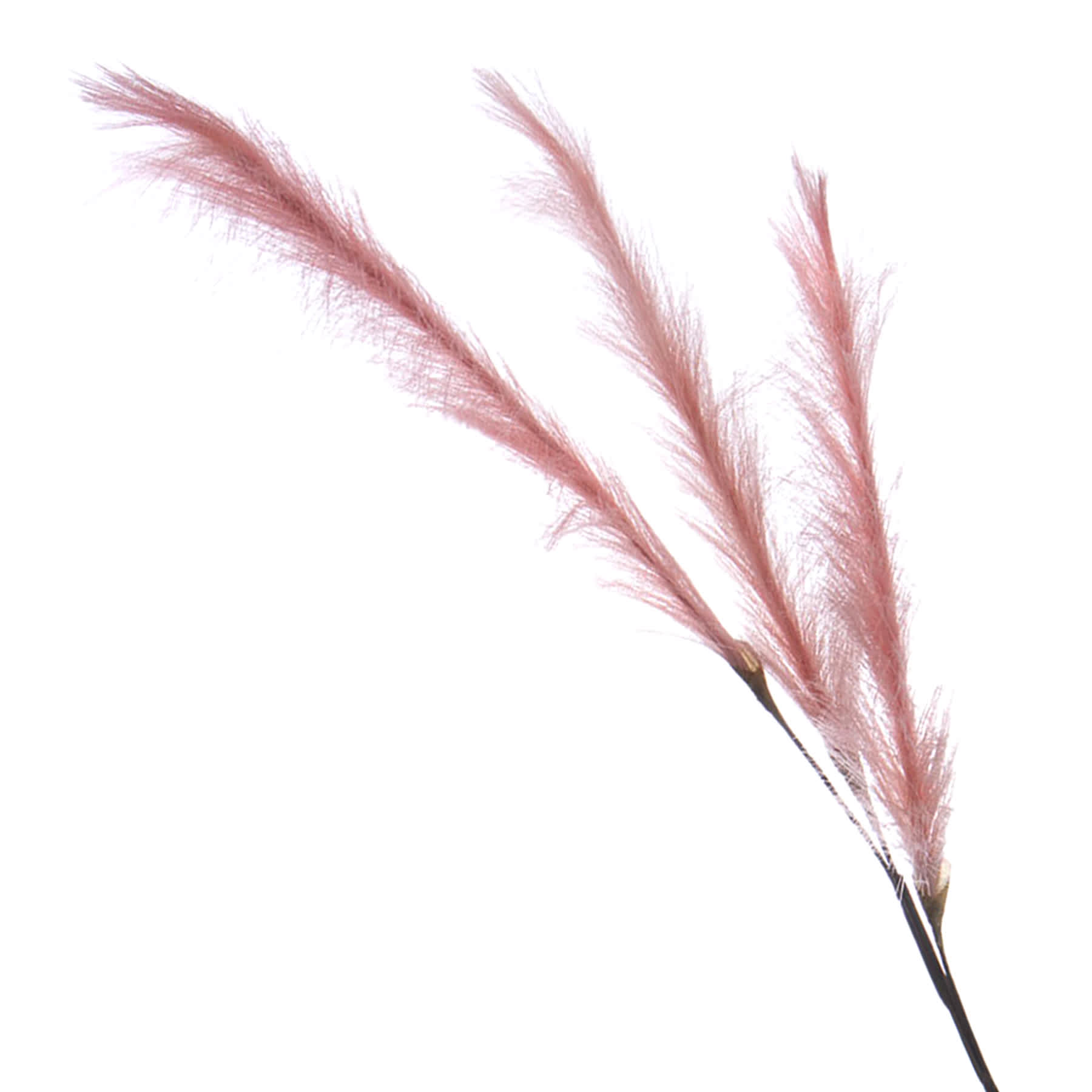 Light Pink Pampas Grass Spray, 48"