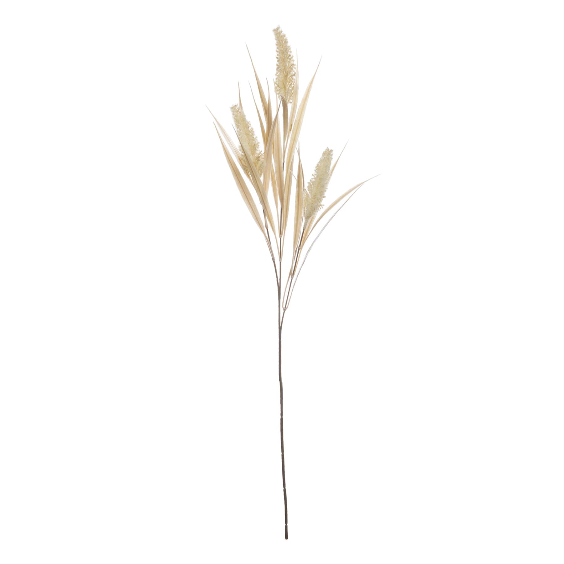 Faux Foxtail Spray, 30.5"