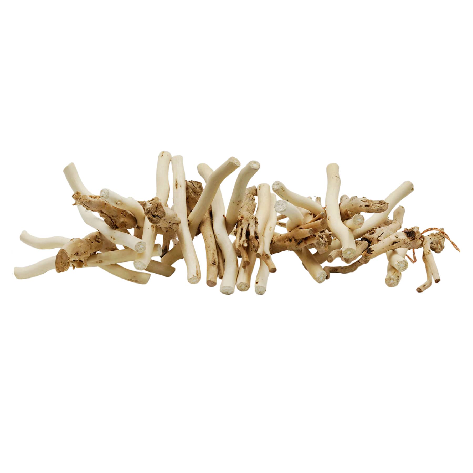 Ty Pennington Wooden Coral Decor, 24x7