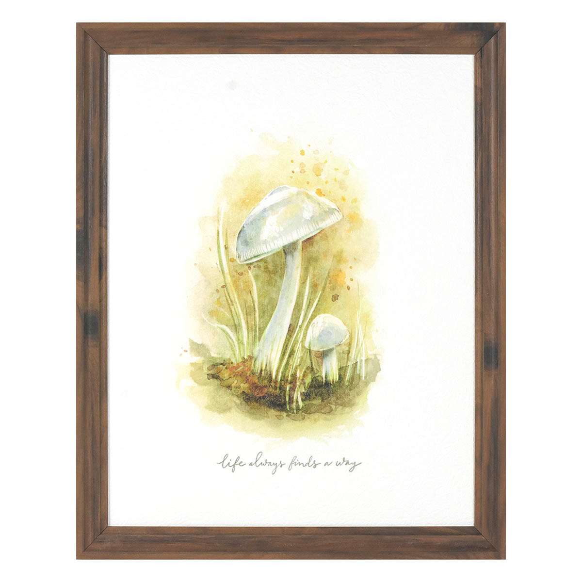 Honeybloom Framed Mushroom Print Wall Art, 13x16