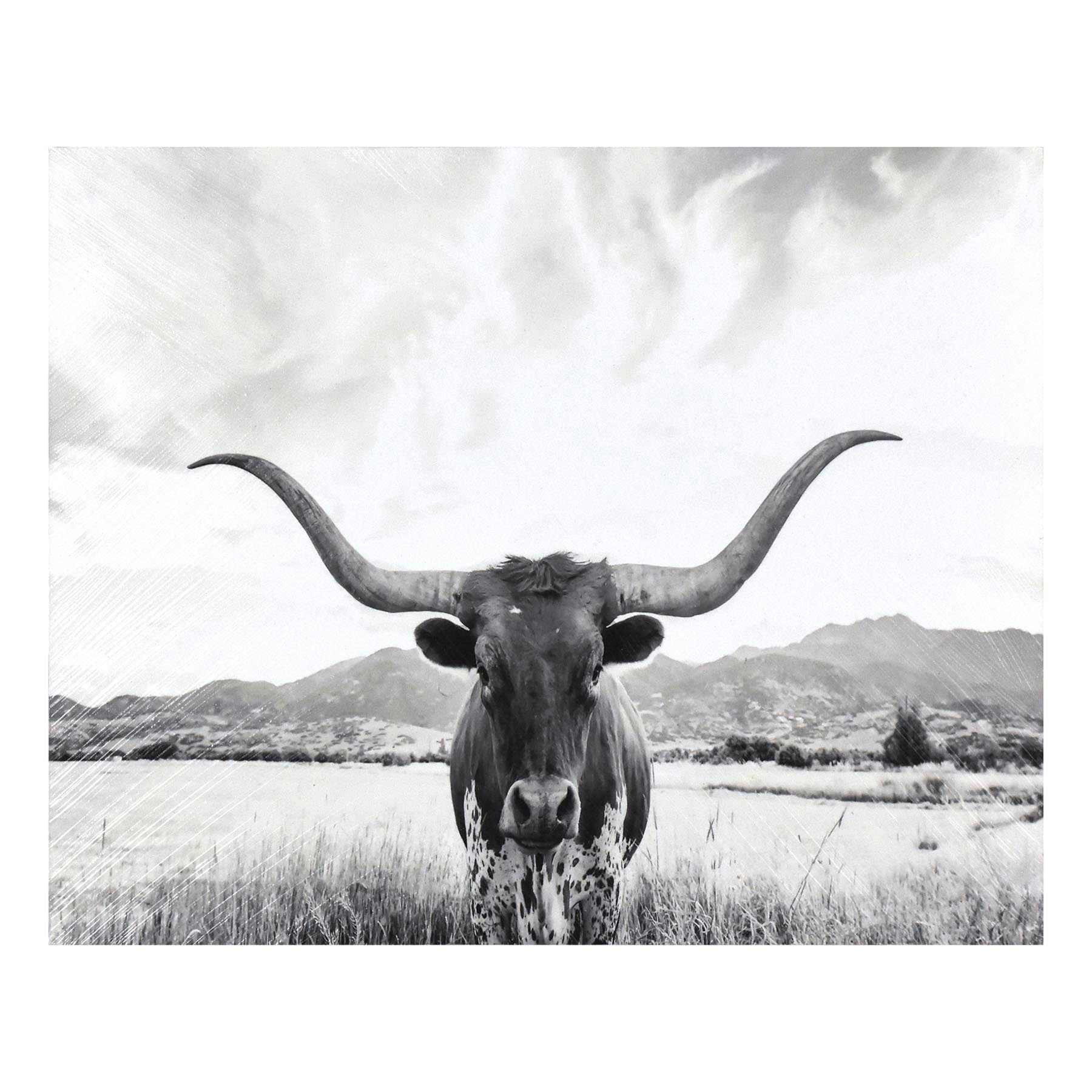 Longhorn Block, 8x10