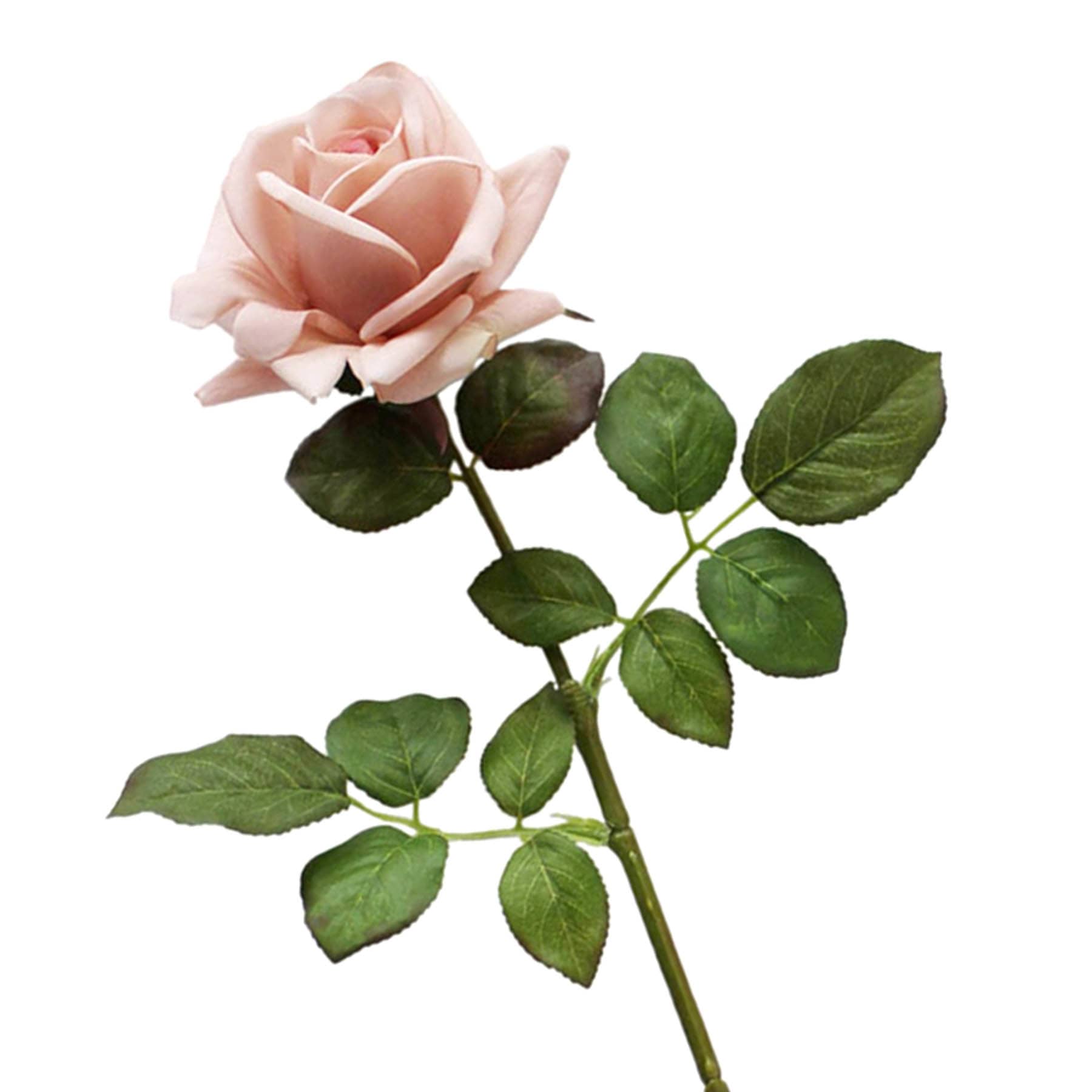 Willow Crossley Light Pink Real Feel Rose Floral Stem, 25.6"