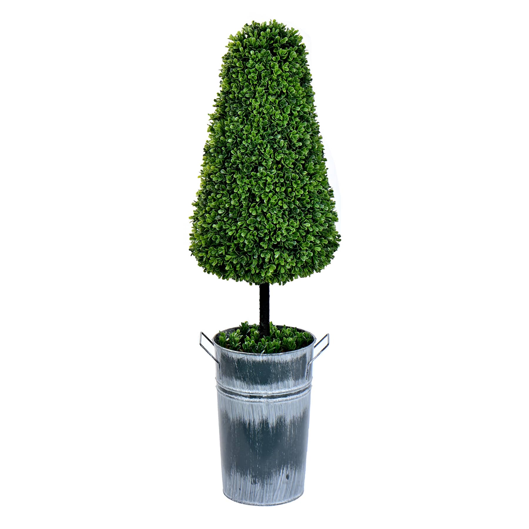 Topiary Cone Boxwood, 37"