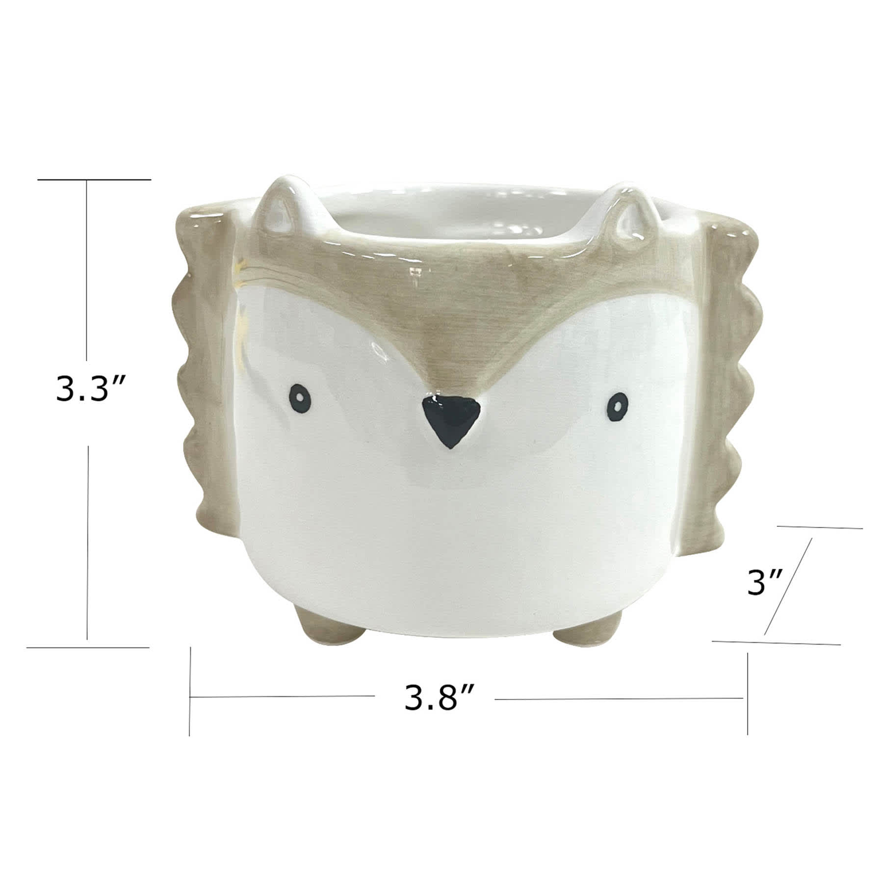 Indoor Mini Hedgehog Planter, 4"
