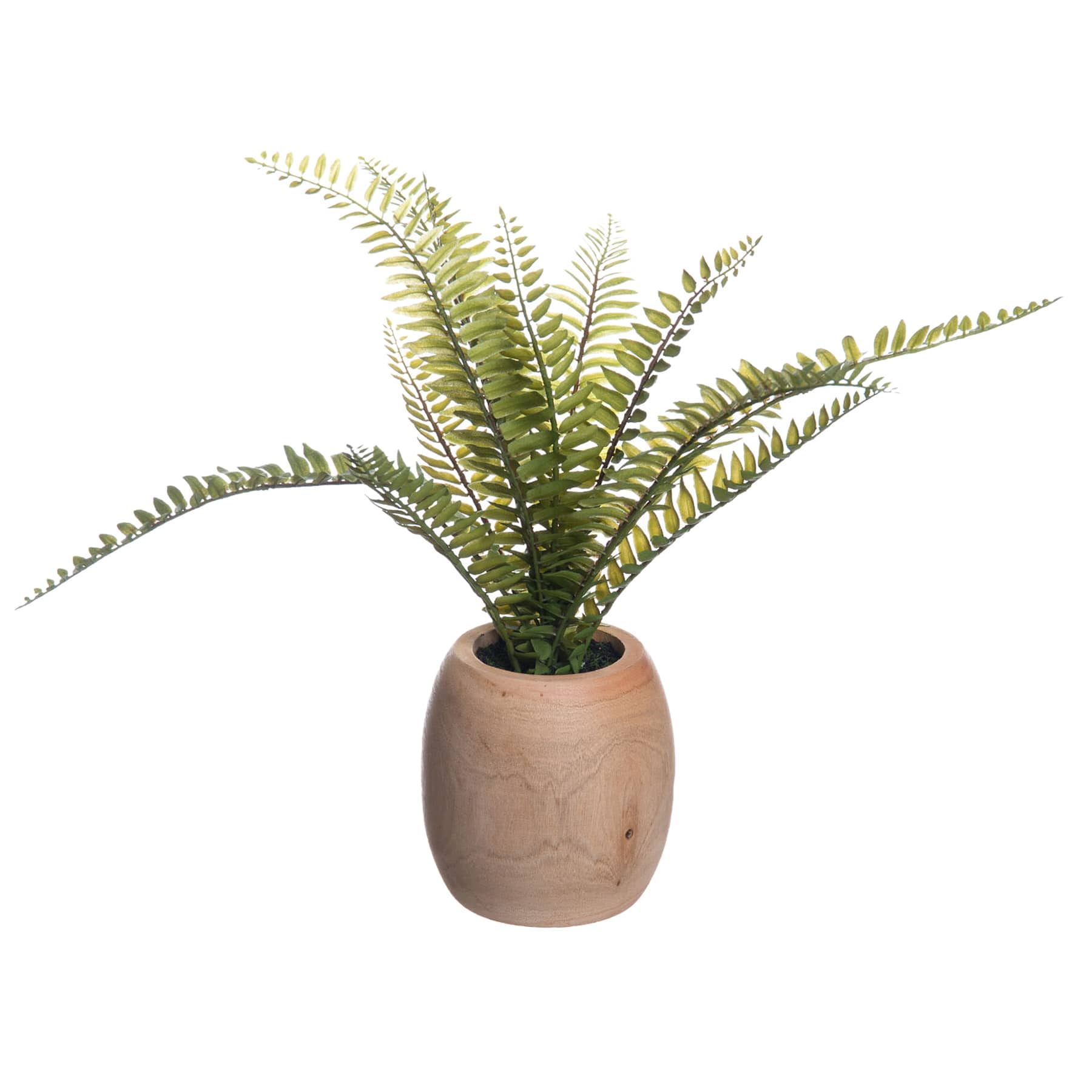 Fern Plant in Wood Pot, 12"