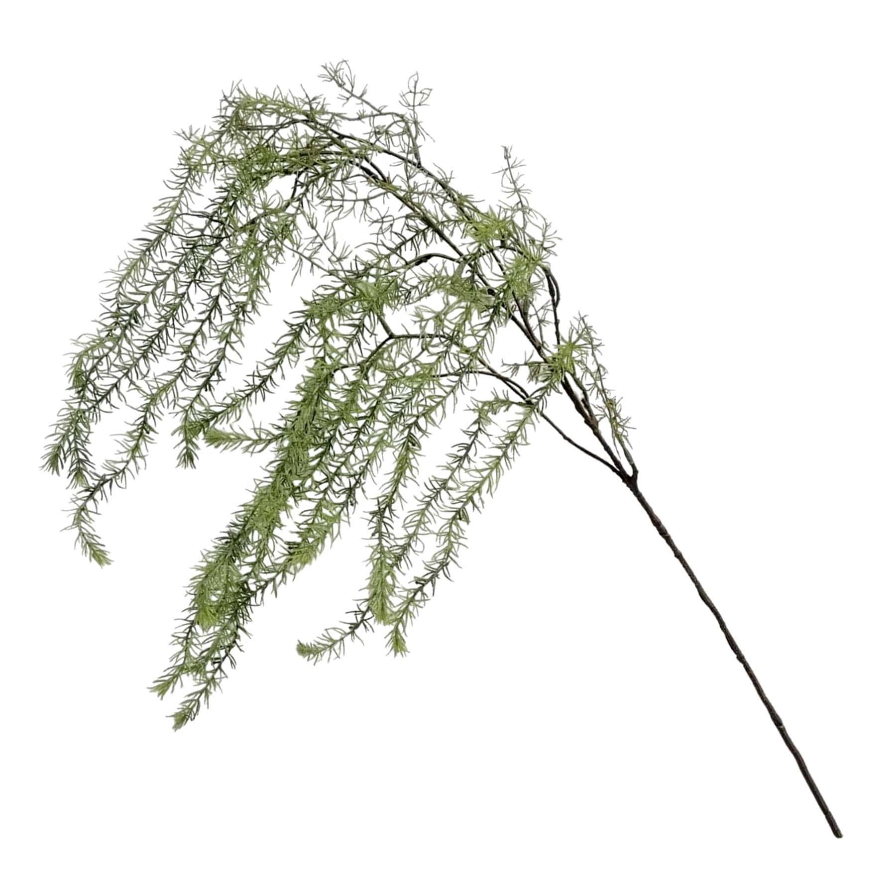 Grim Gardens Moss Spray, 30"