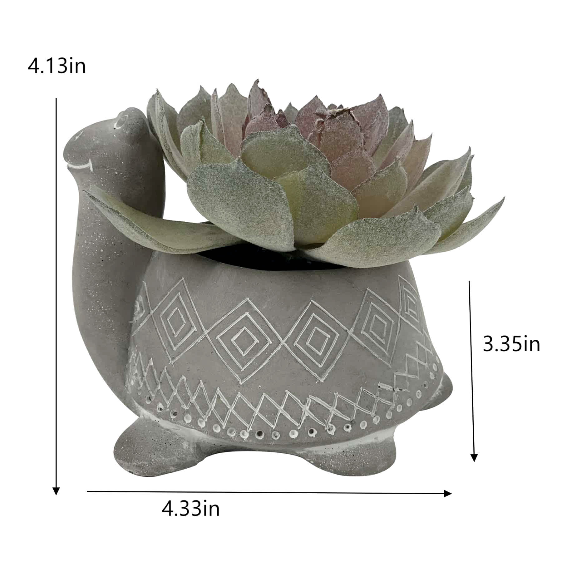 Succulent in Pot, 4"