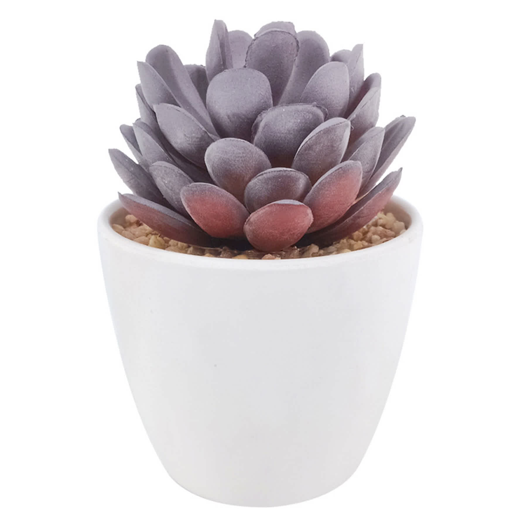 Purple Succulent in Melamine Vase, 4.5"
