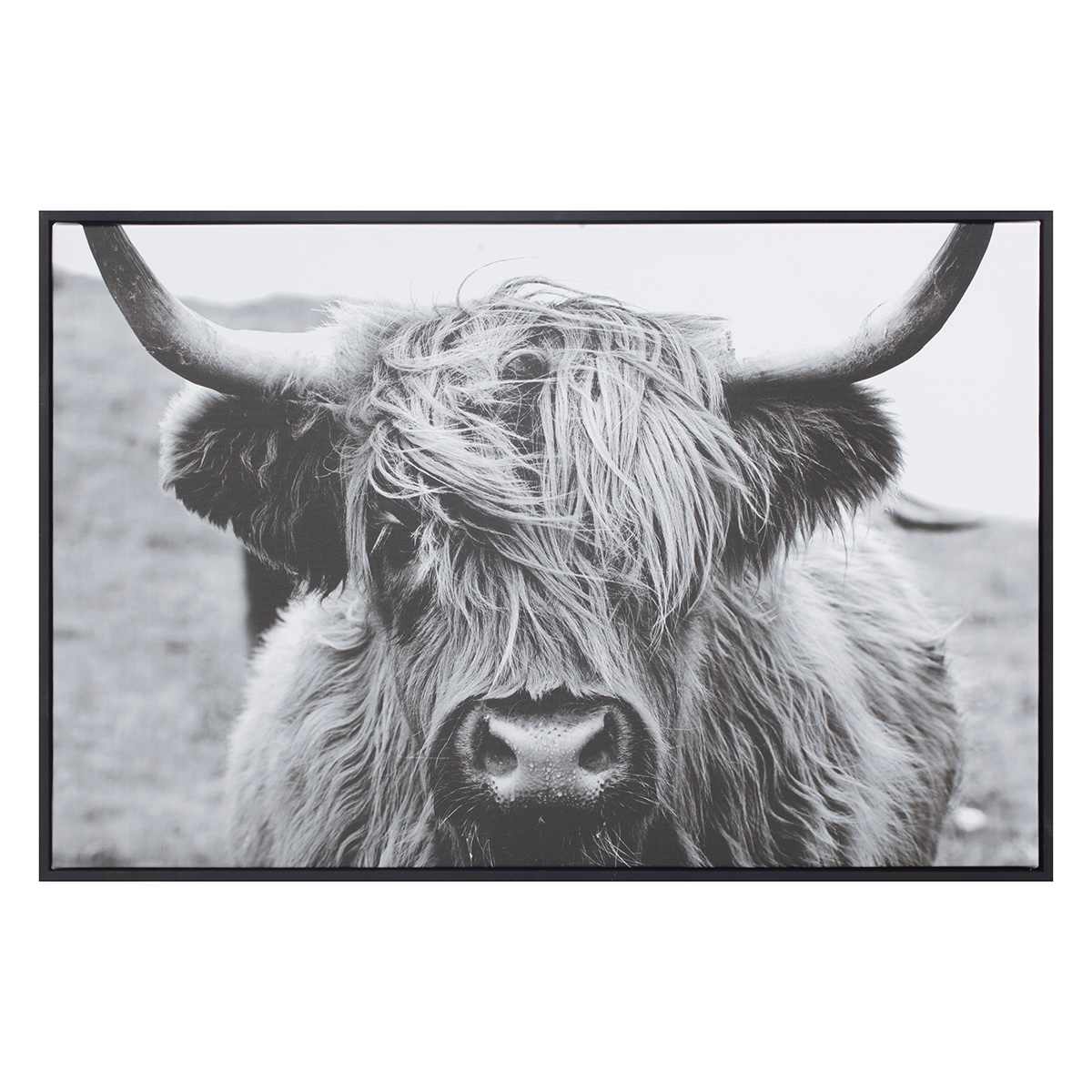 Ty Pennington Framed Highland Cow Canvas Wall Art, 24x16