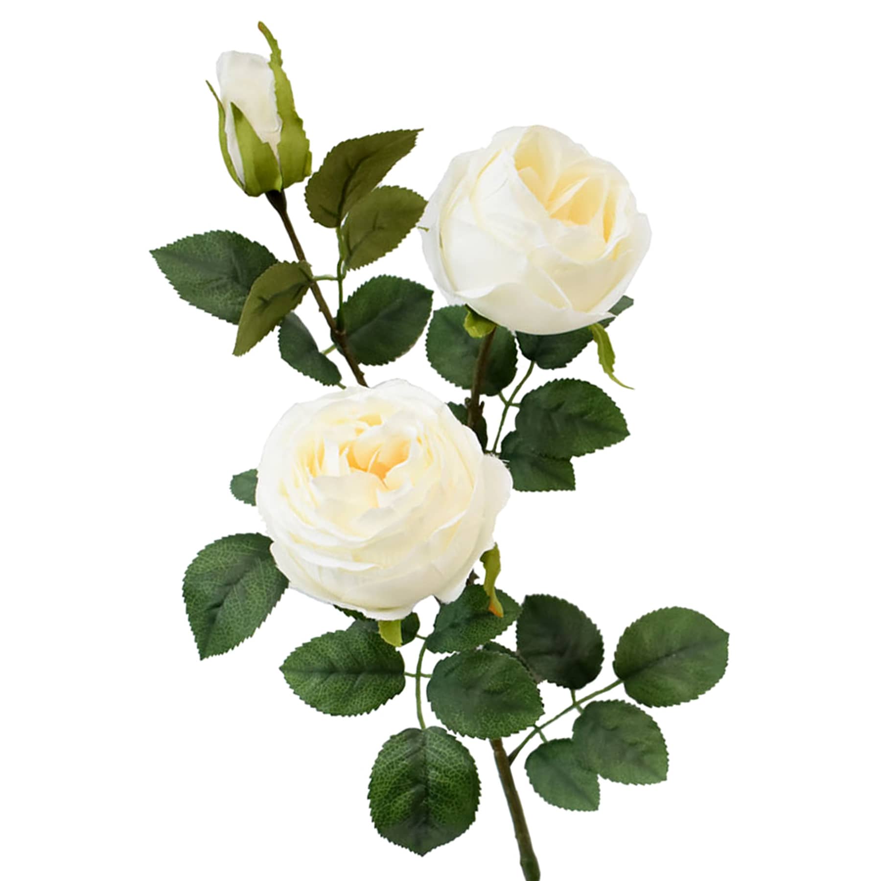 Willow Crossley Coconut Milk Rose Floral Stem, 27"