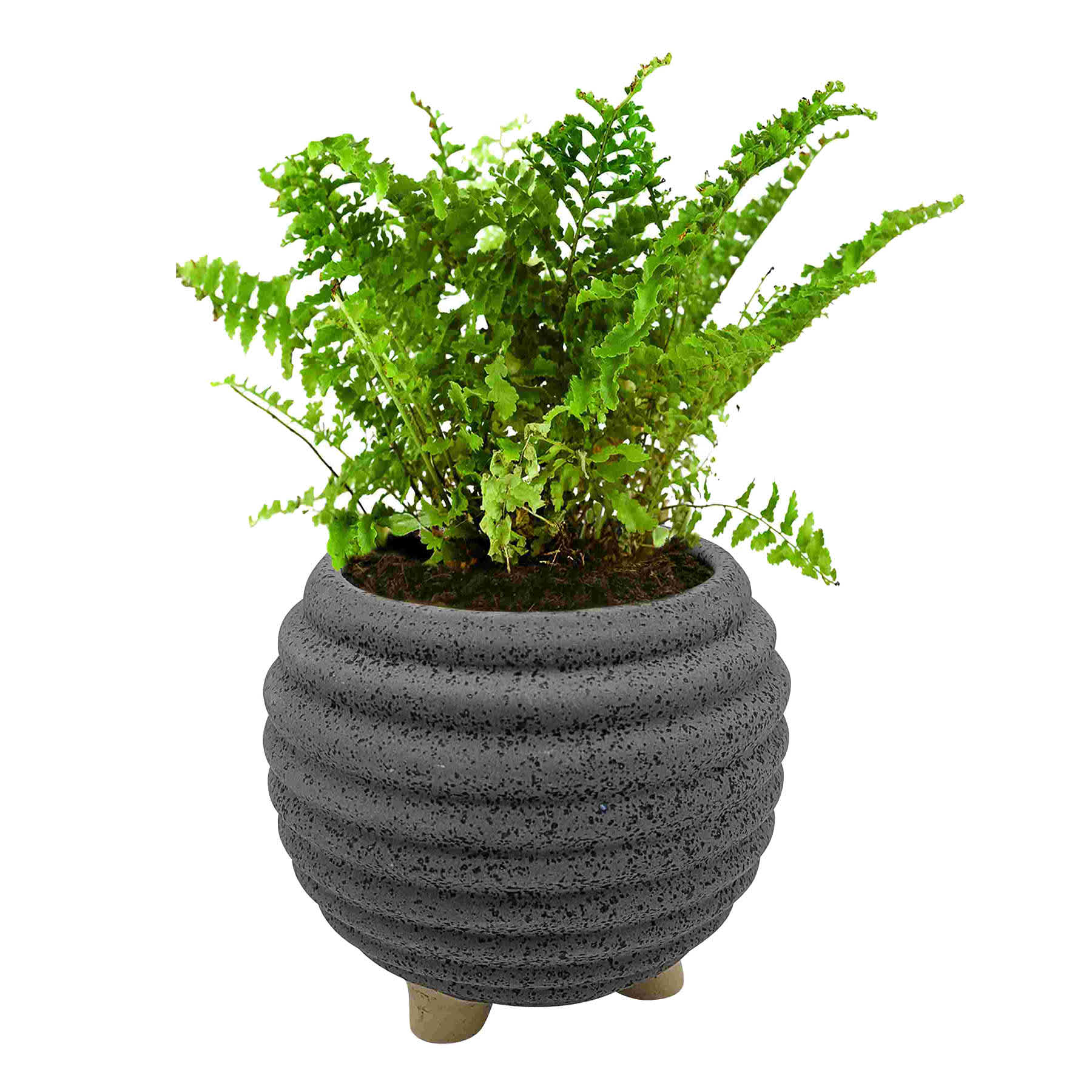 Indoor Elle Grey Planter, 5"